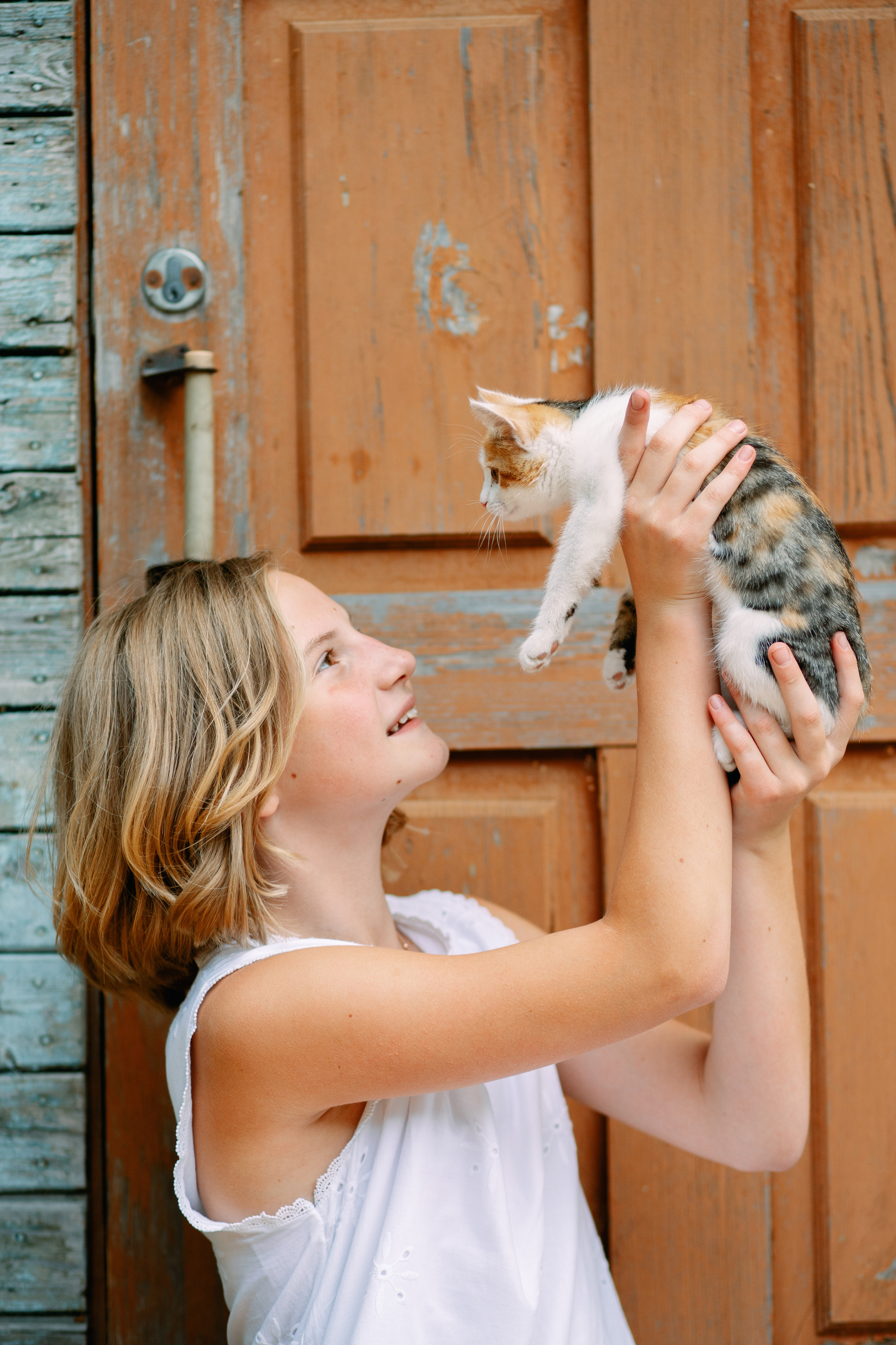Кошки и утки. Фотограф Казакова Анастасия