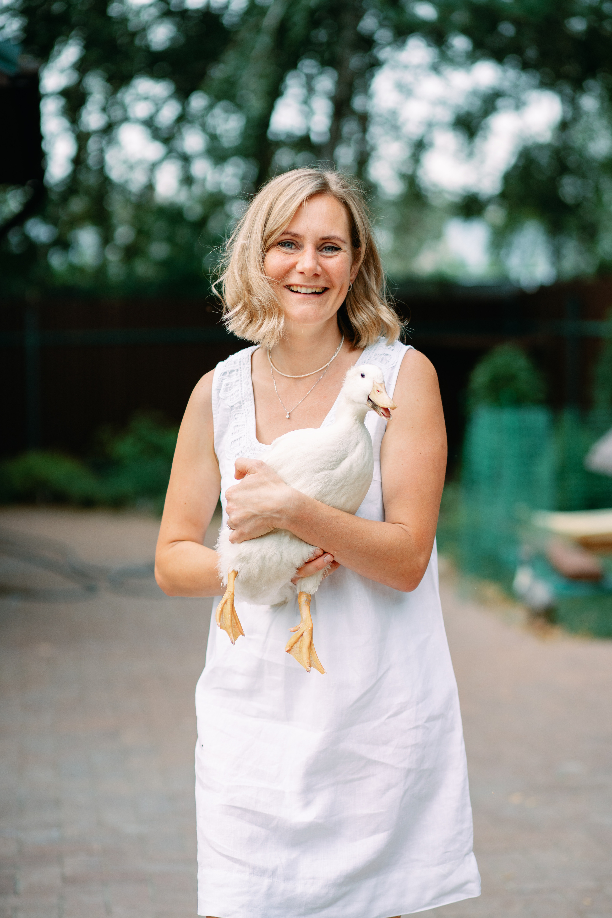 Кошки и утки. Фотограф Казакова Анастасия