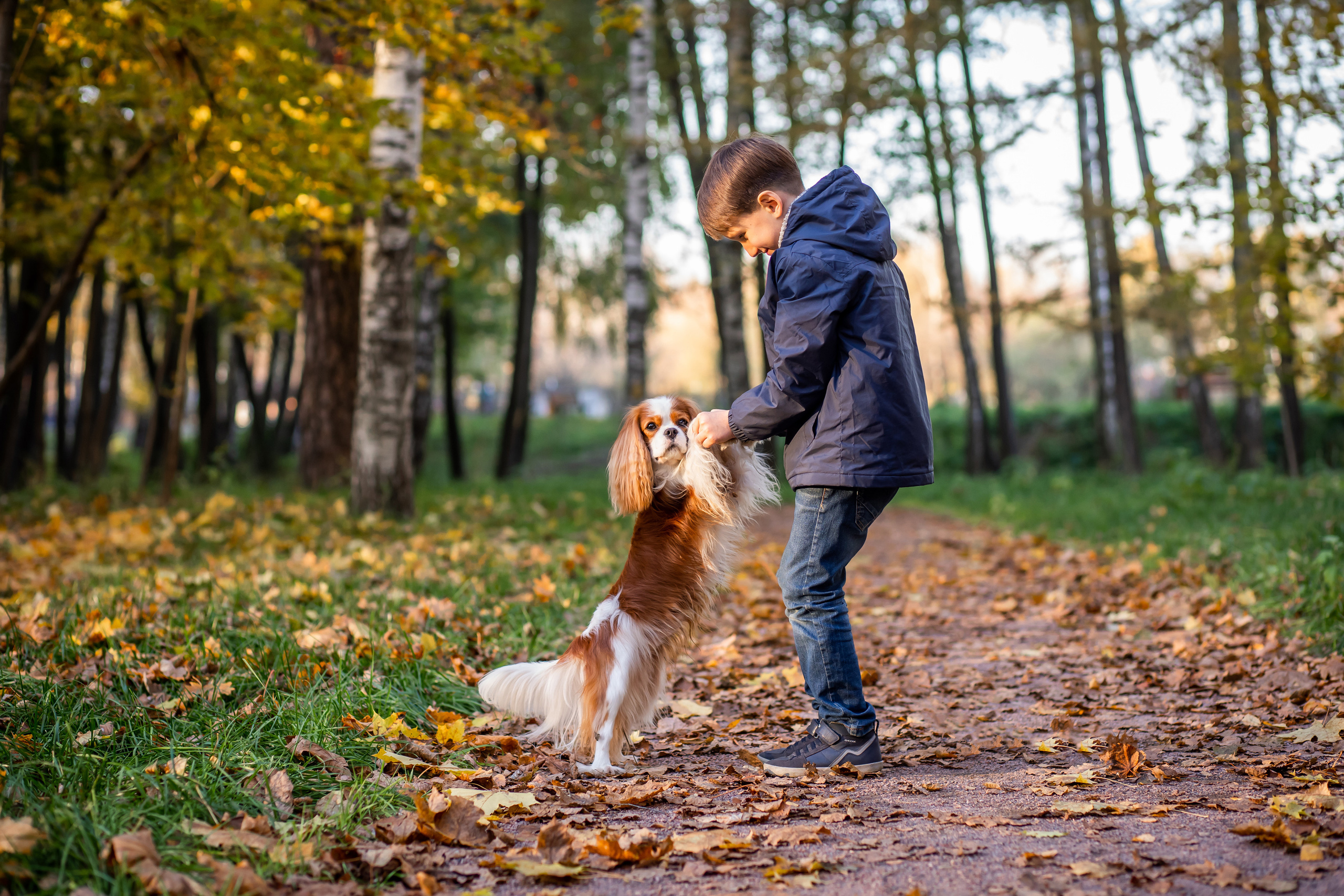 Осень. Фотограф Казакова Анастасия