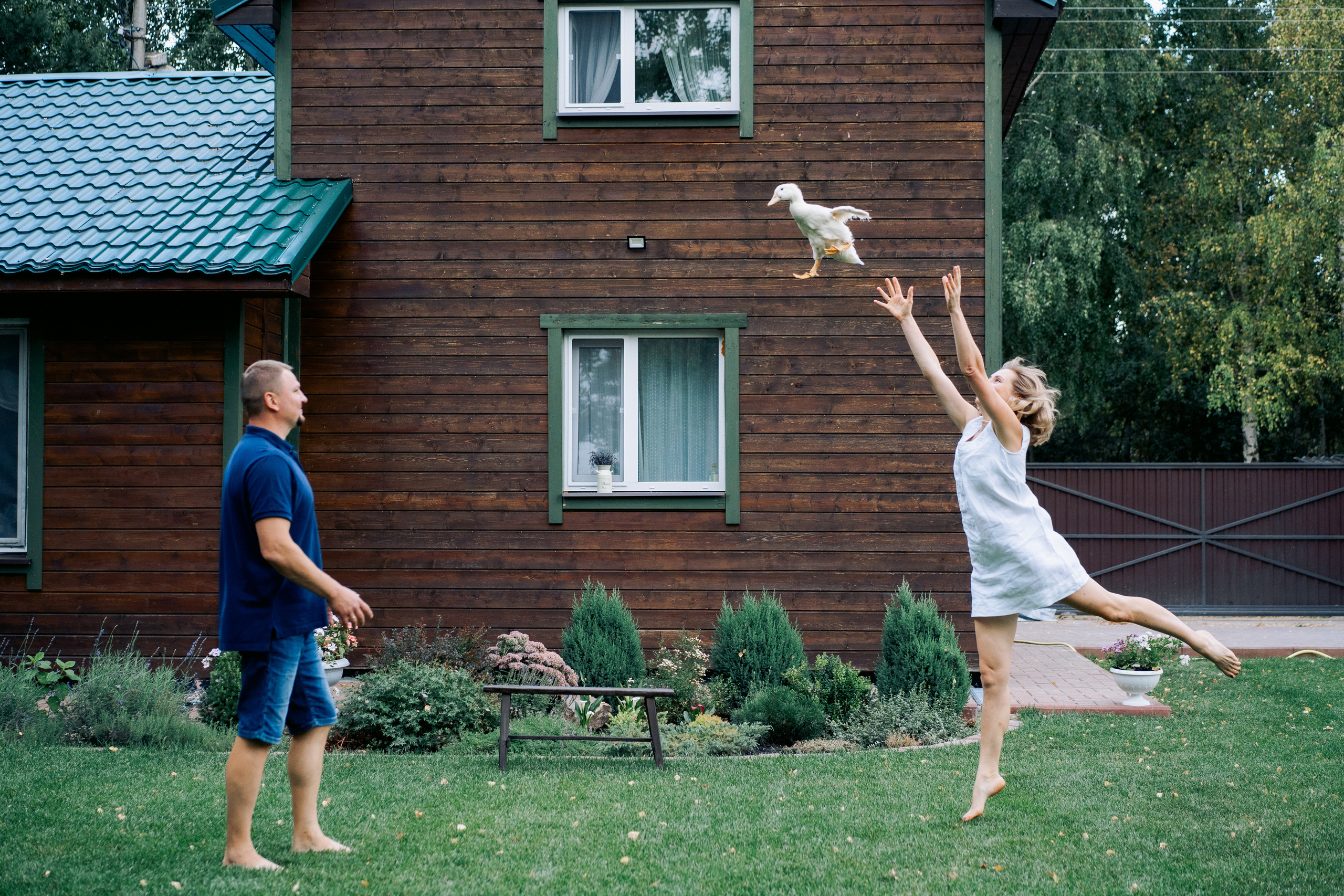 Кошки и утки. Фотограф Казакова Анастасия