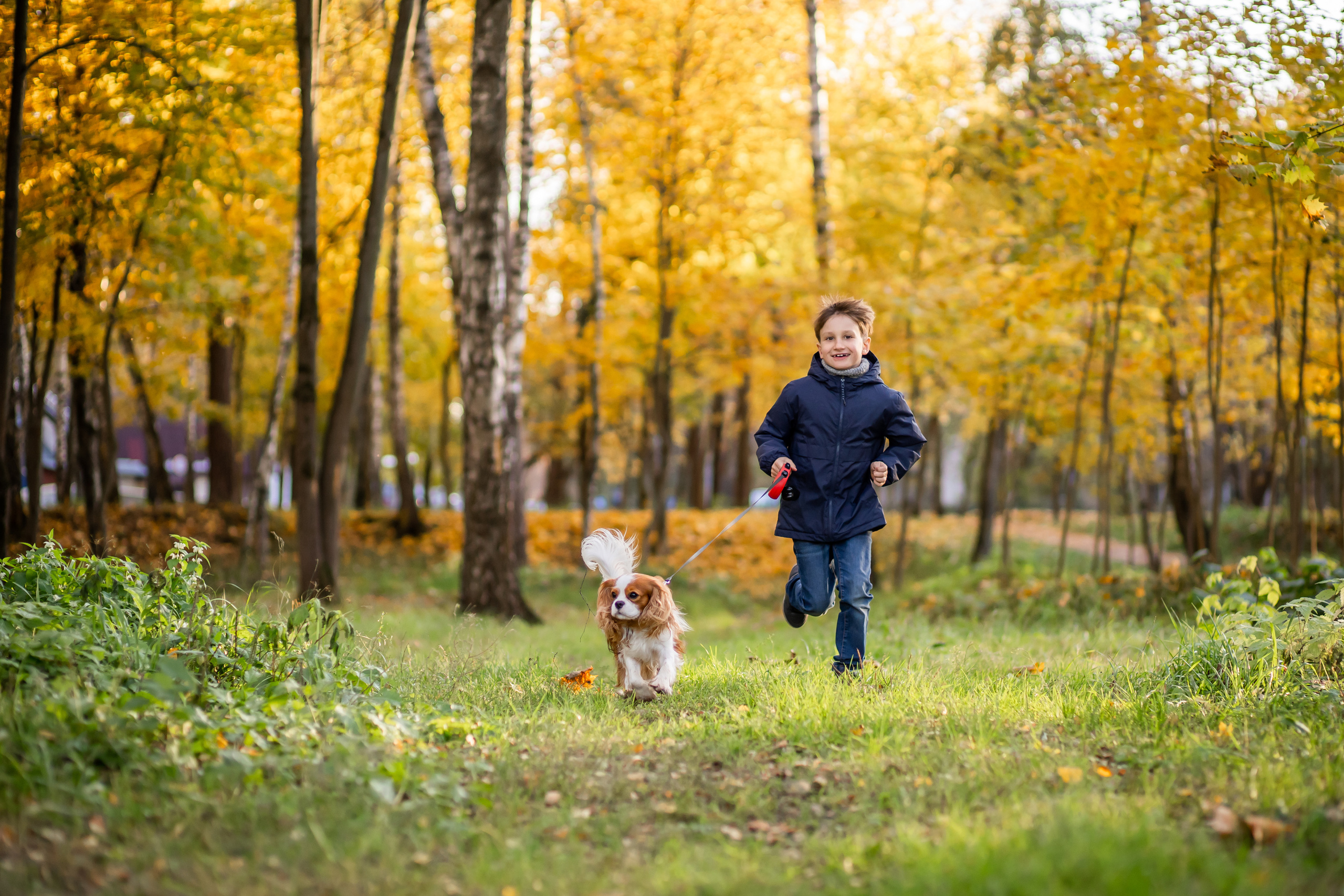 Осень. Фотограф Казакова Анастасия