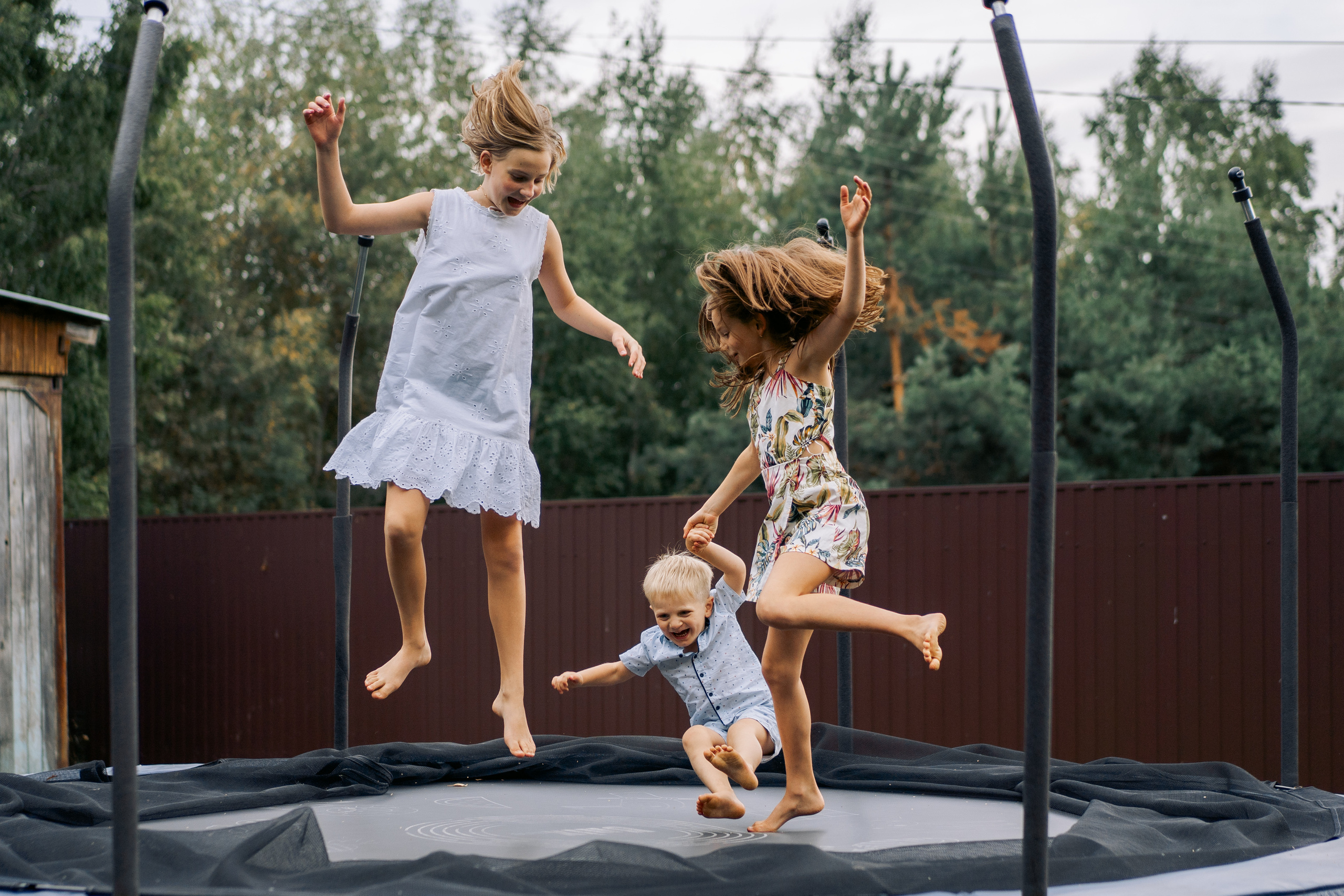 Кошки и утки. Фотограф Казакова Анастасия