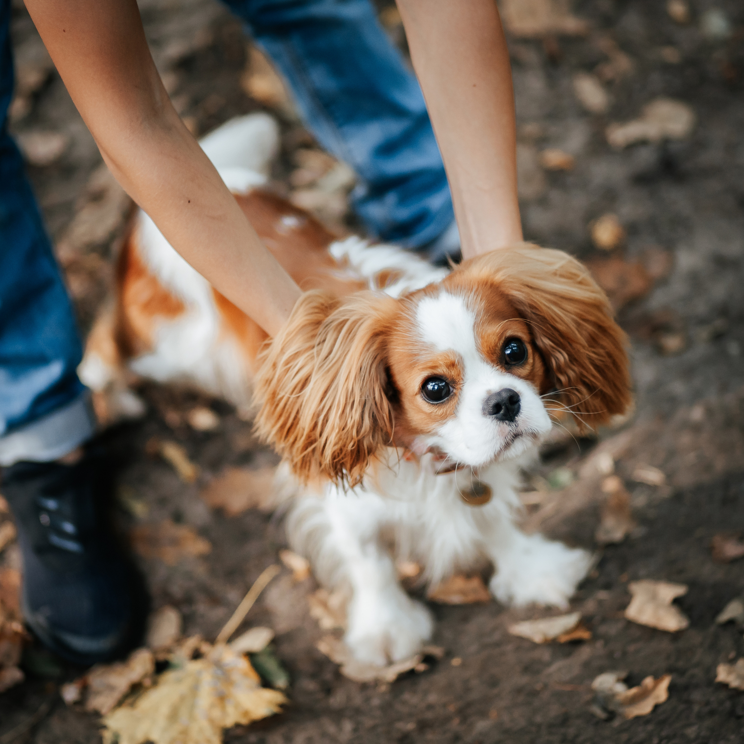 Федор и Кевин. Фотограф Казакова Анастасия