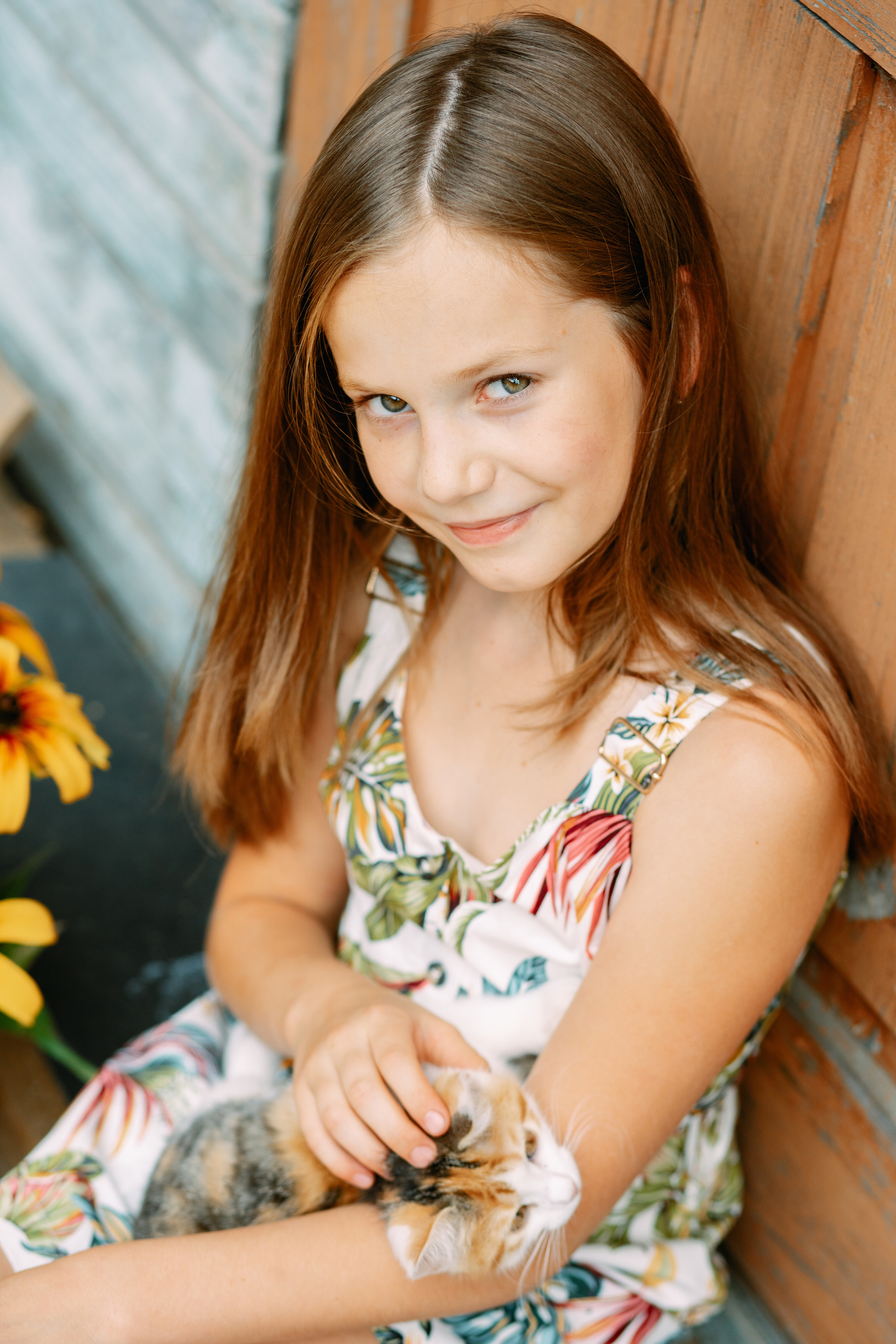 Кошки и утки. Фотограф Казакова Анастасия