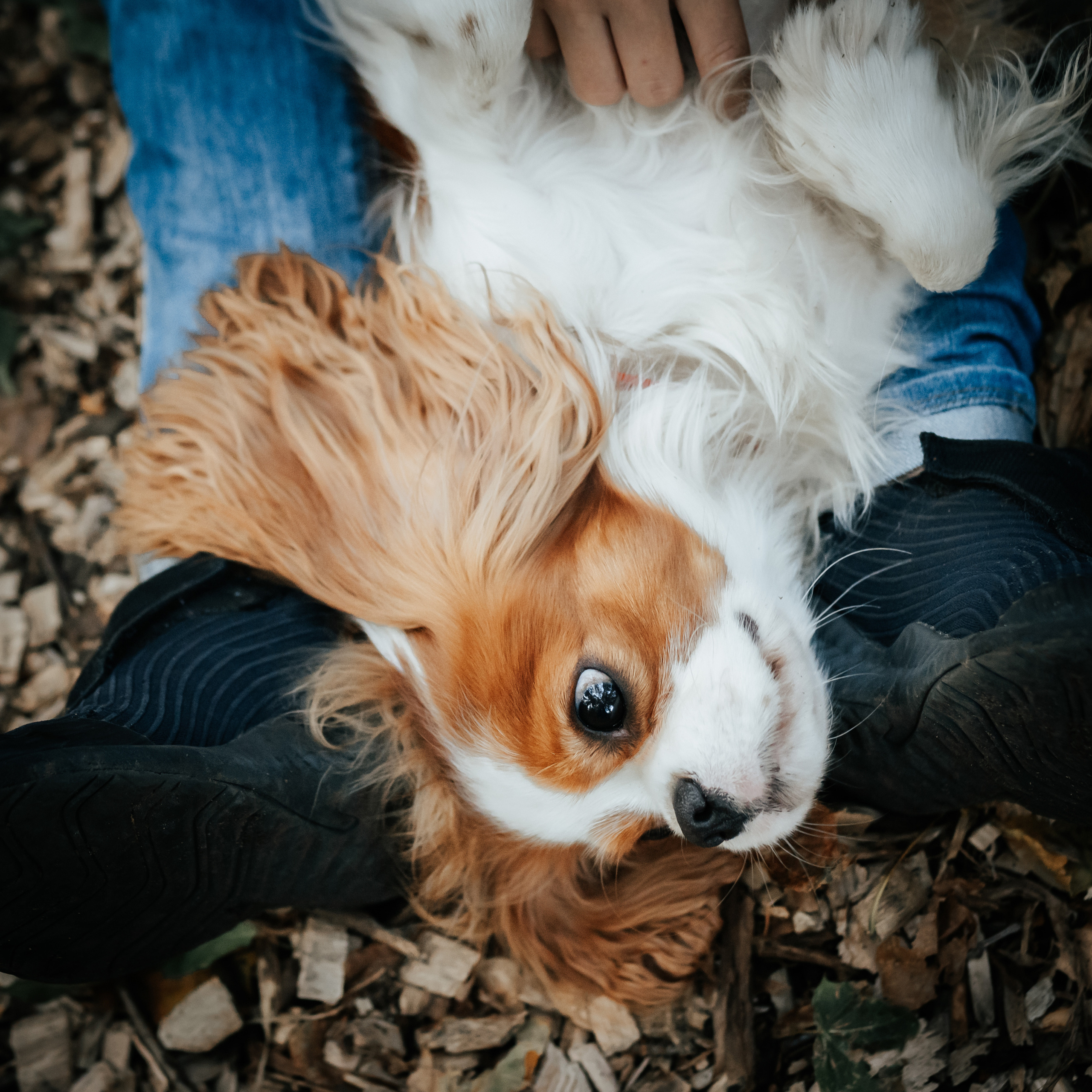 Федор и Кевин. Фотограф Казакова Анастасия