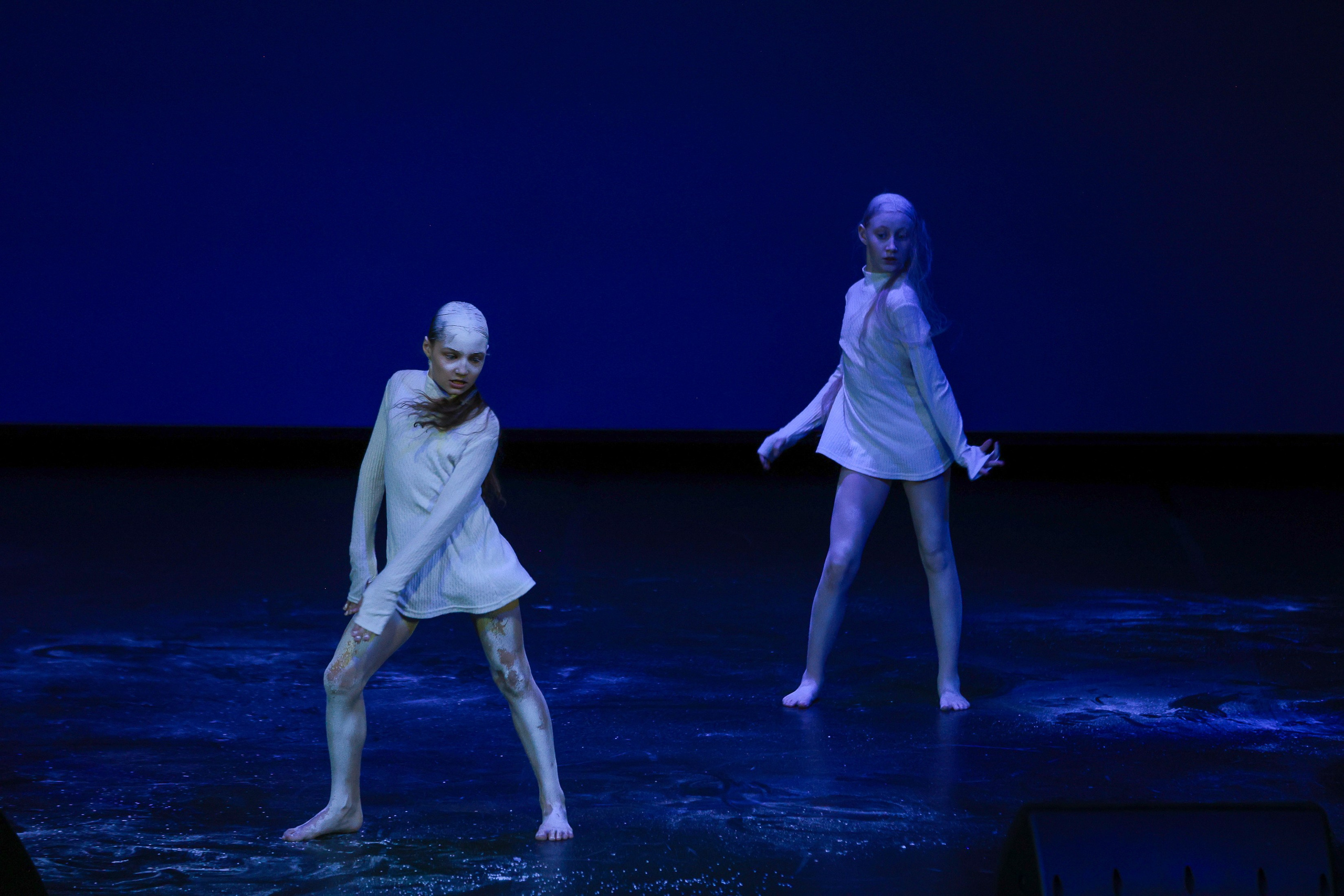 Небесные ласточки на Танц ЭКСПО 2026. Фотограф Юлия Мальцева