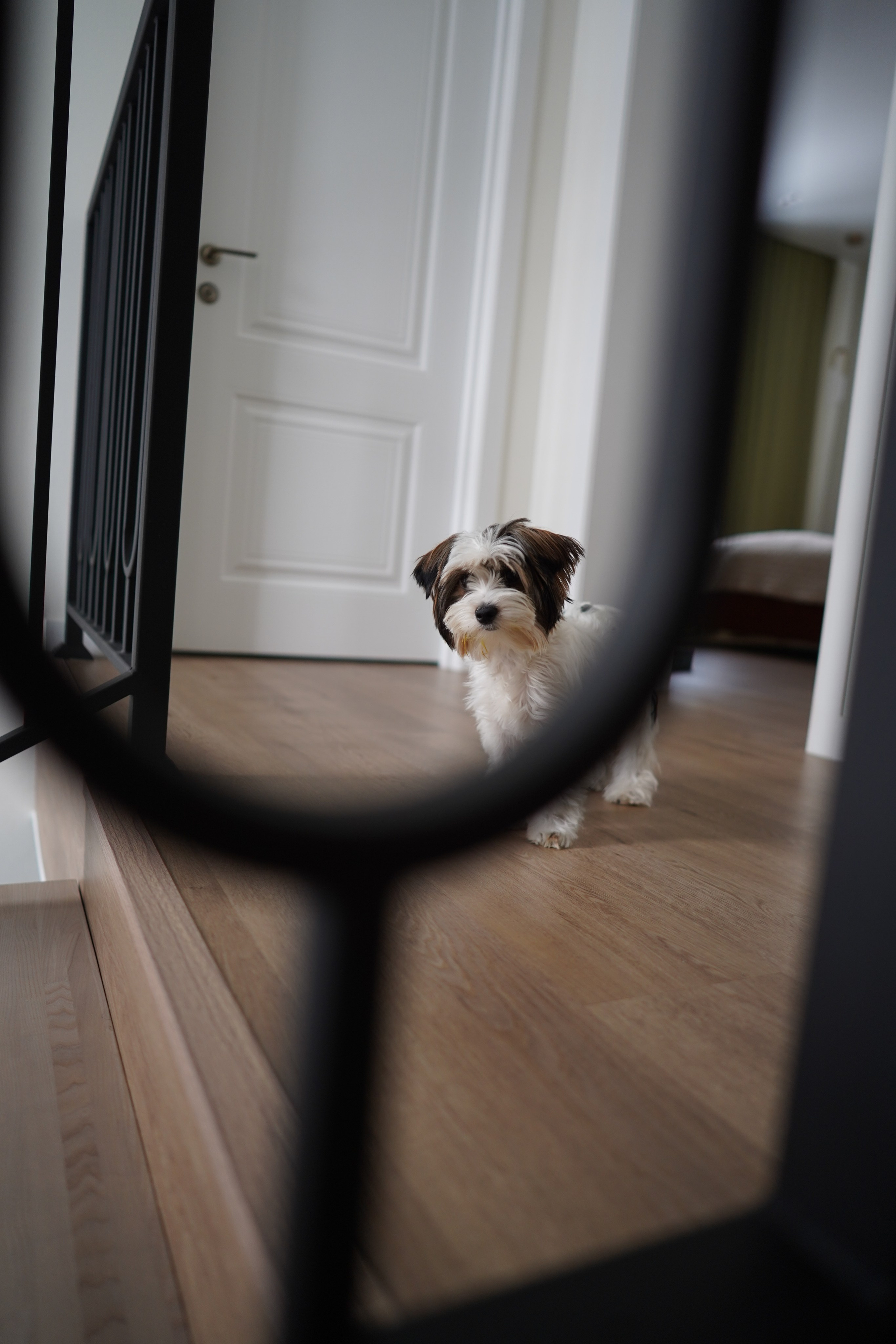 ЖК Приозерный. Das House