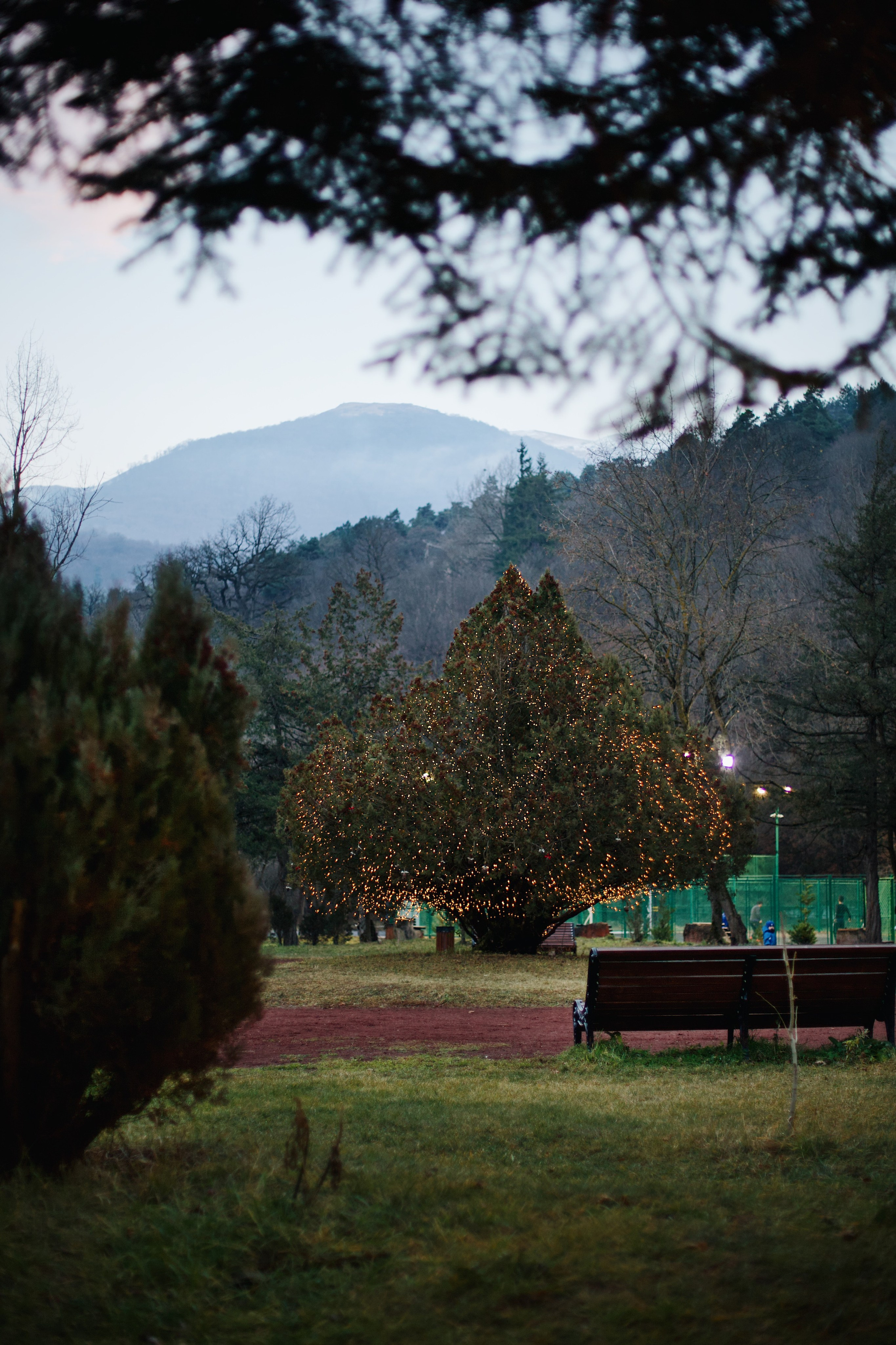 Christmas Tree opening in Dilijan city park. Фотограф в Армении Женя Гилевич