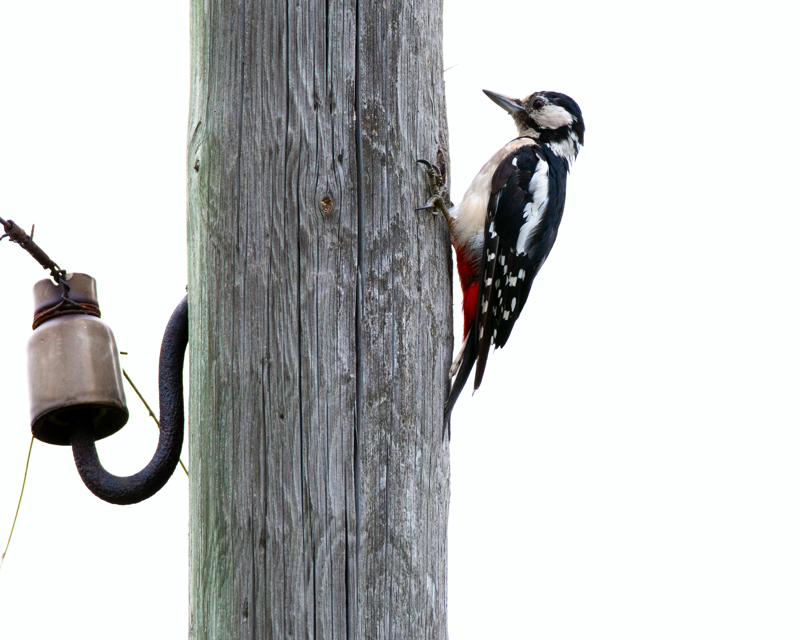 ПРИРОДА. Слепки времени. Фотографии природы и событий. Москва. Сергей Аллагулов