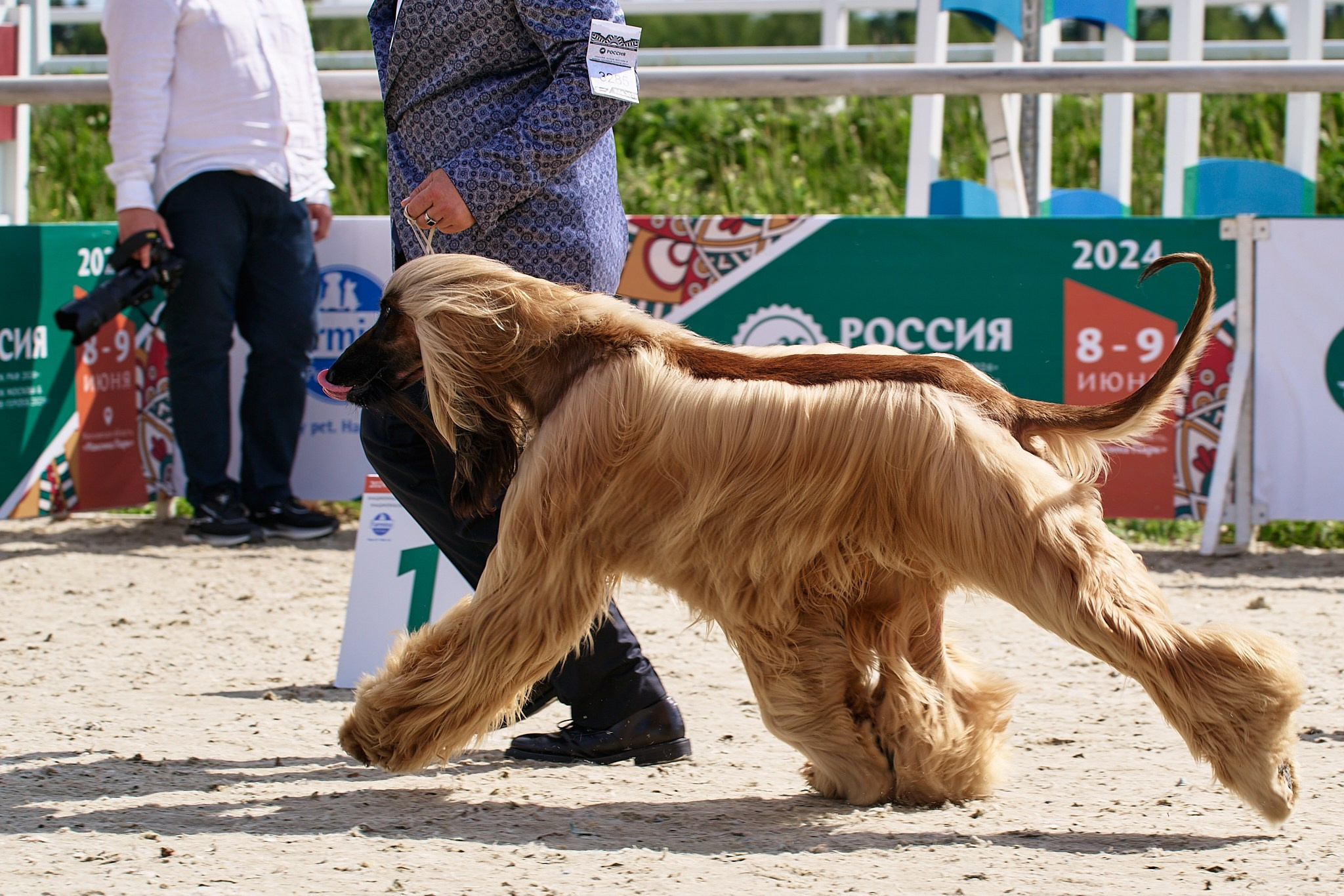 09.06.2024, «РОССИЯ. КУБОК МОСКВЫ 2024 & КУБОК ГОРОДОВ-ГЕРОЕВ»