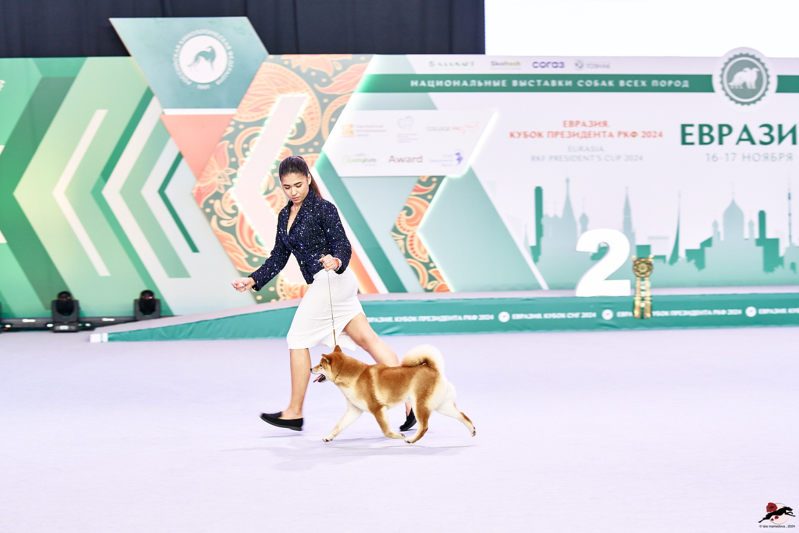 16.11.2024 «ЕВРАЗИЯ. КУБОК ПРЕЗИДЕНТА РКФ 2024»