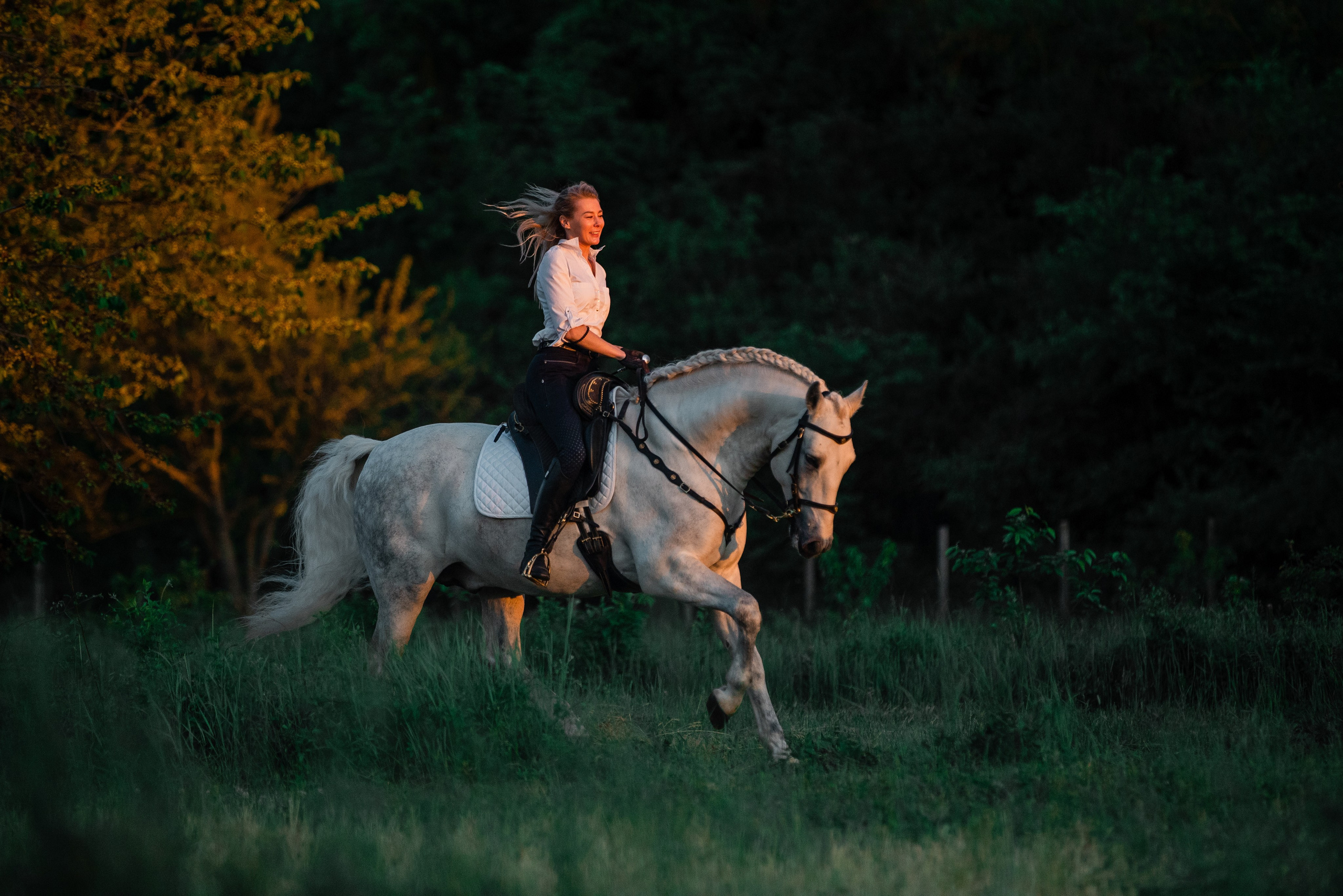 Натали и Цезарь. Фотограф-анималист Ксендзова Кристина