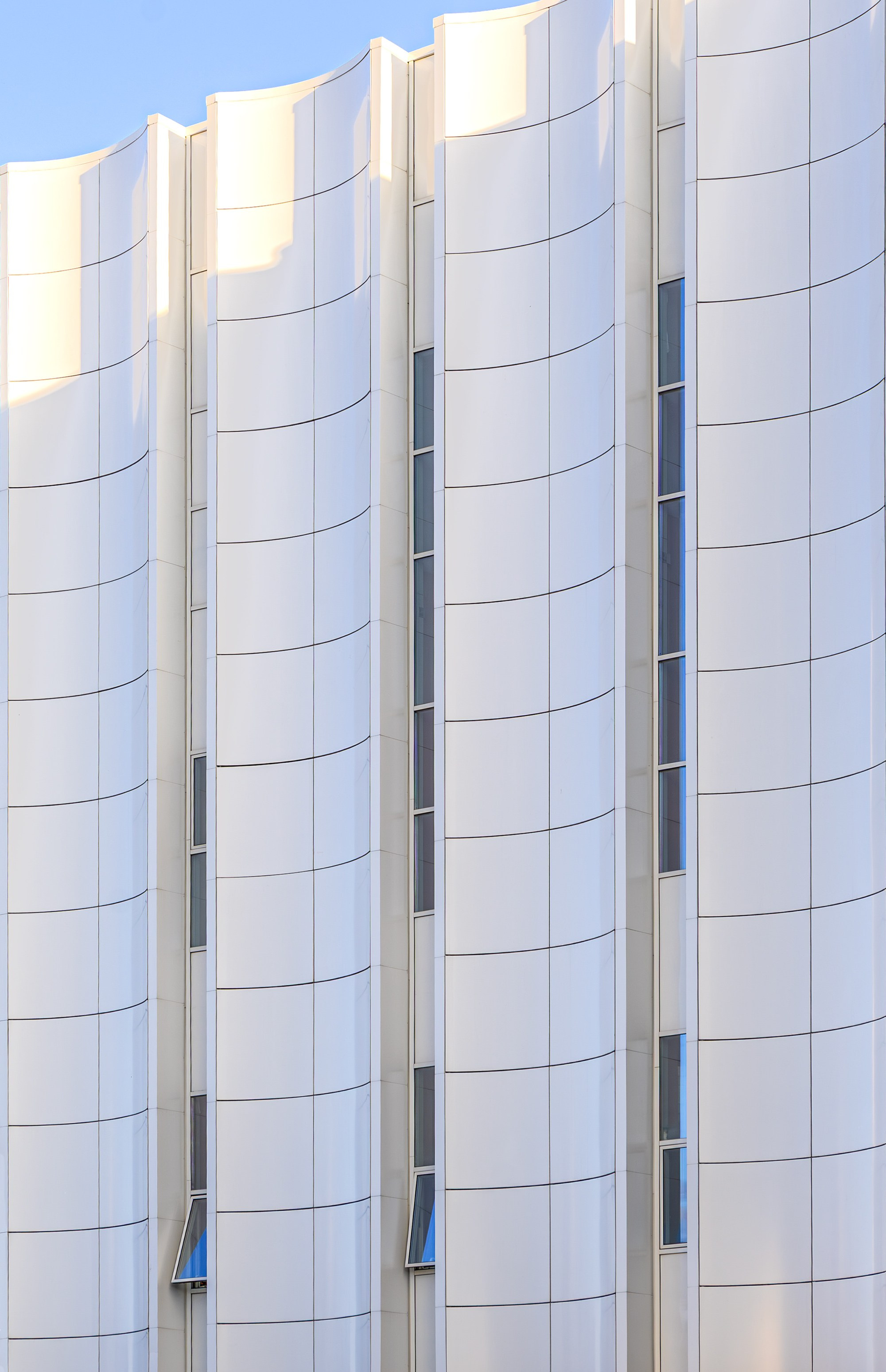 Client Projects. Tony Nomadic