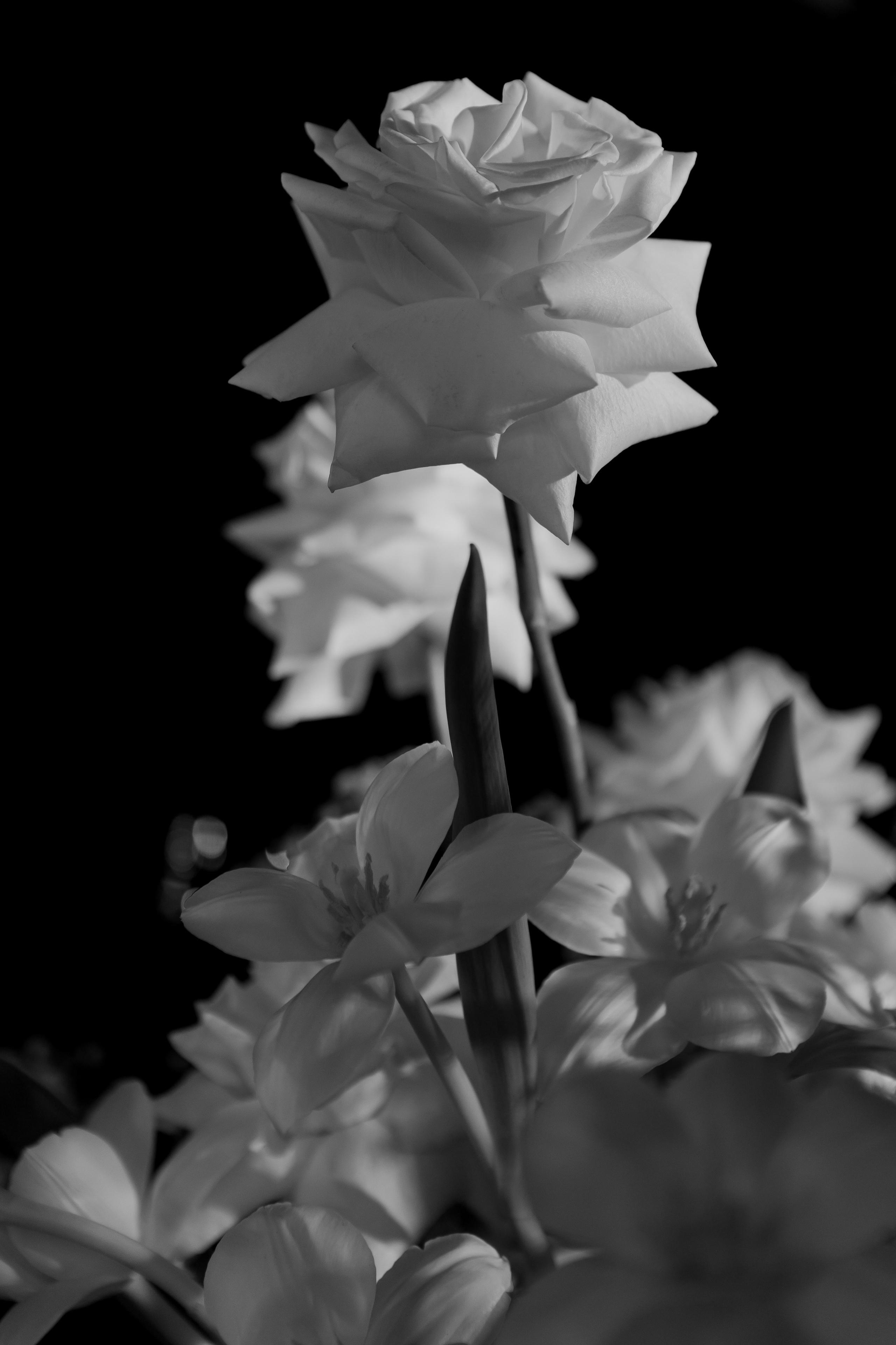 Свадебный фотограф Ксения Трухина в Нижнем Новгороде и Москве