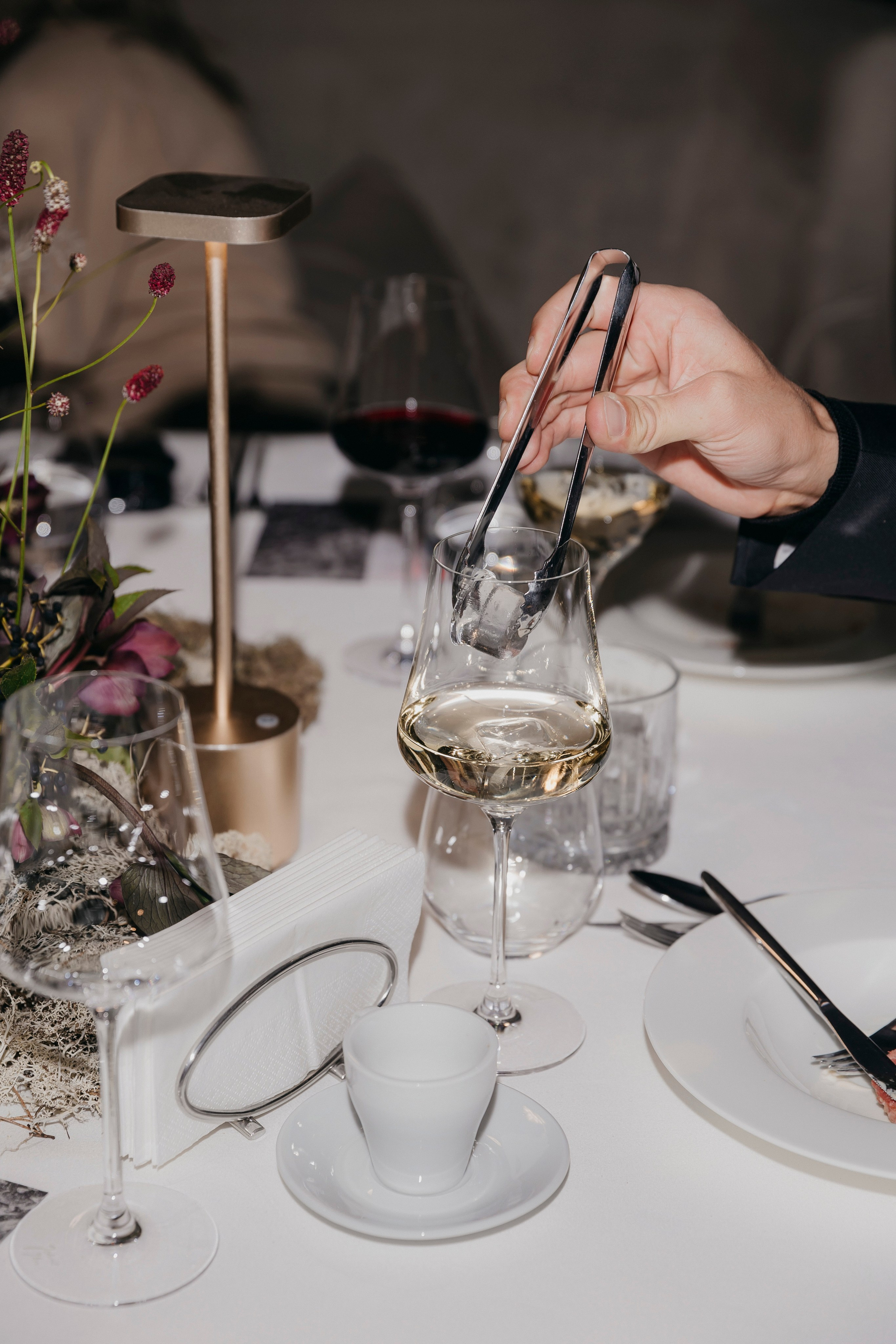 Трюфельный ужин в ресторане «Selfie», Москва. «Птичка на проводе»: информационный портал в Москве