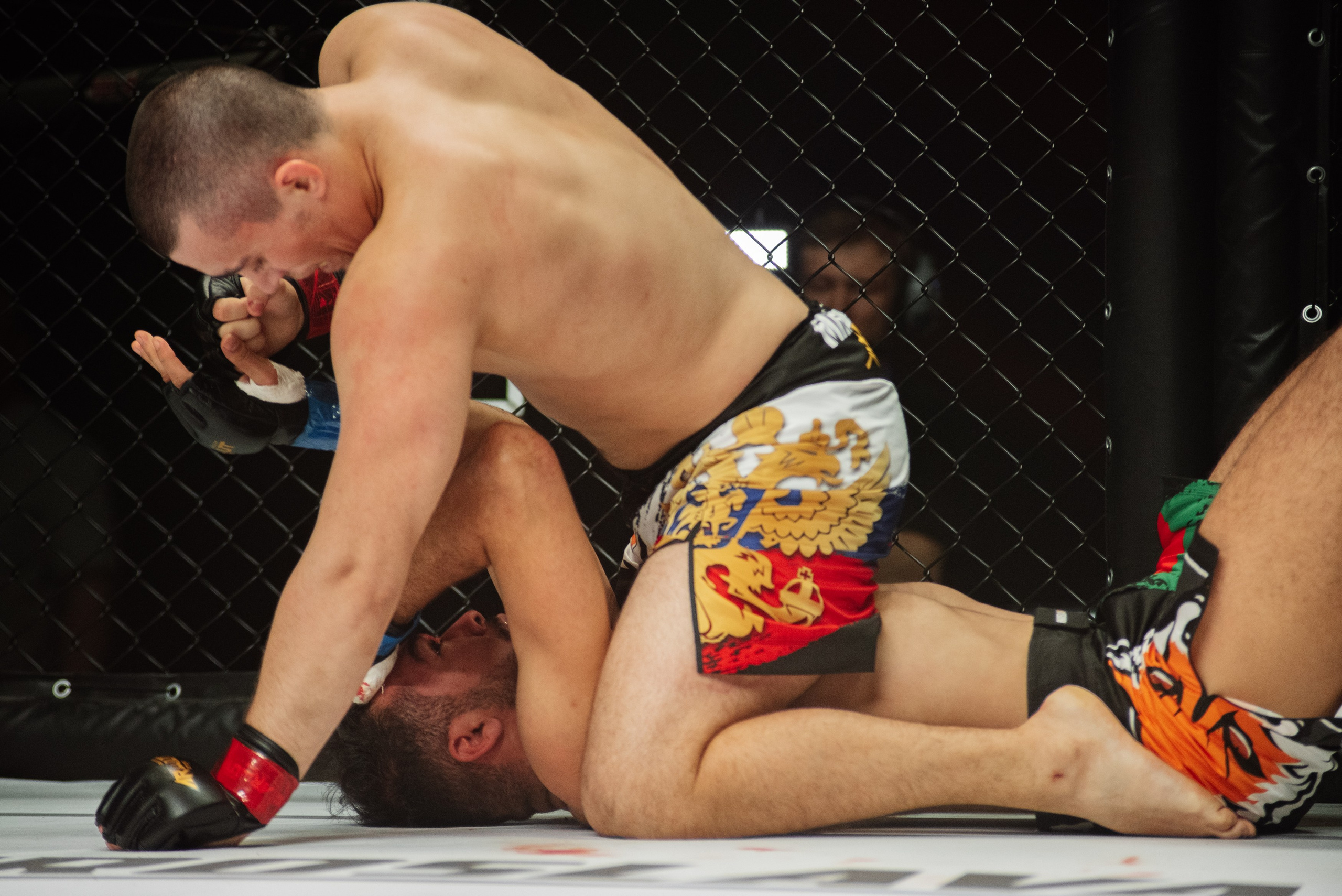Miroslava Fight