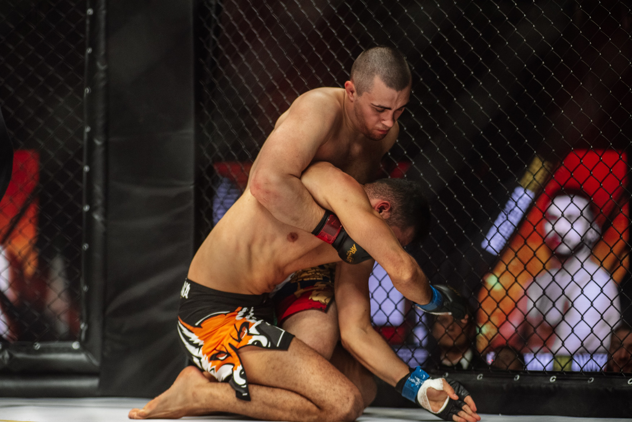 Miroslava Fight