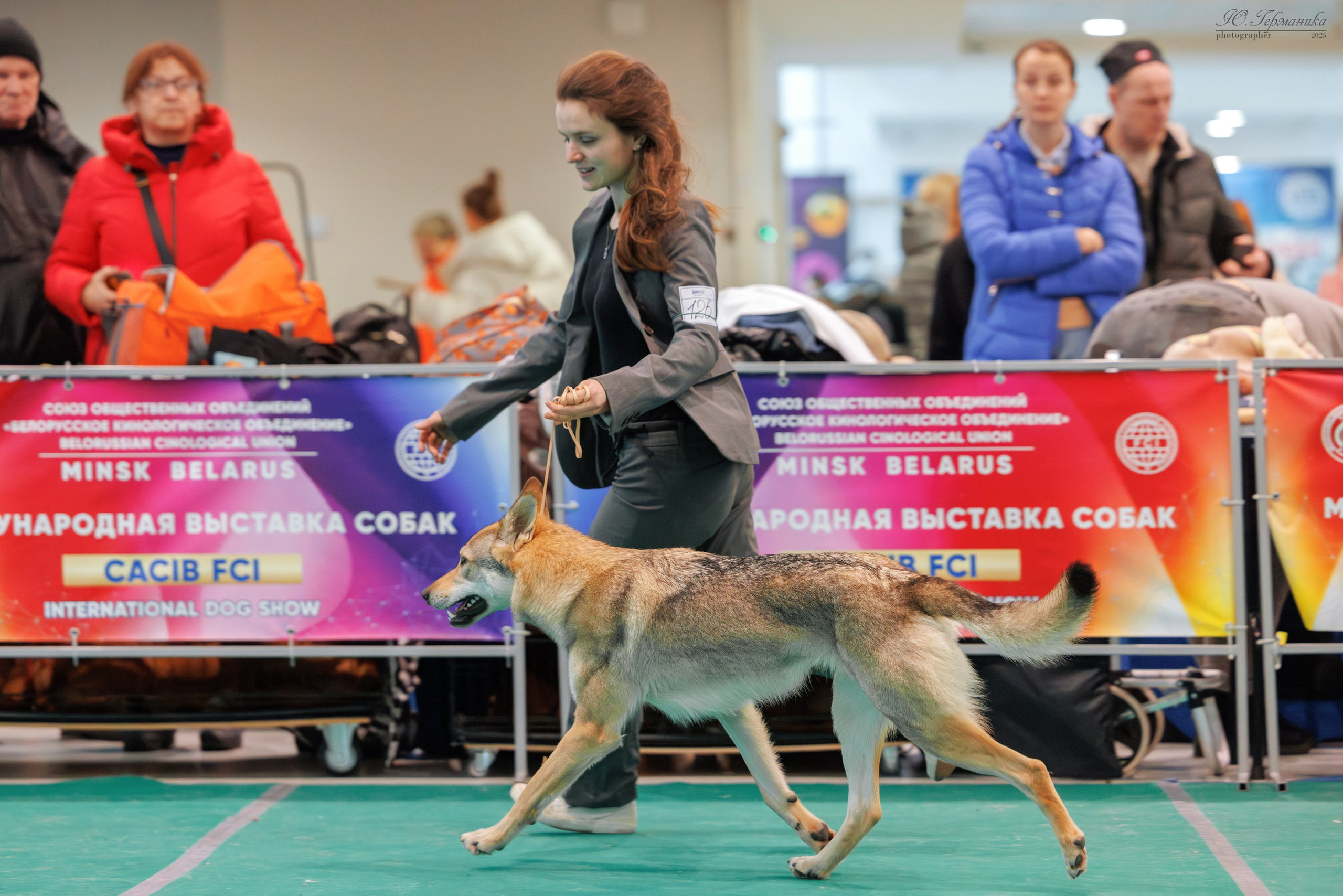 Минск 1-2.03.2025. Фотограф-анималист Юлия Германика