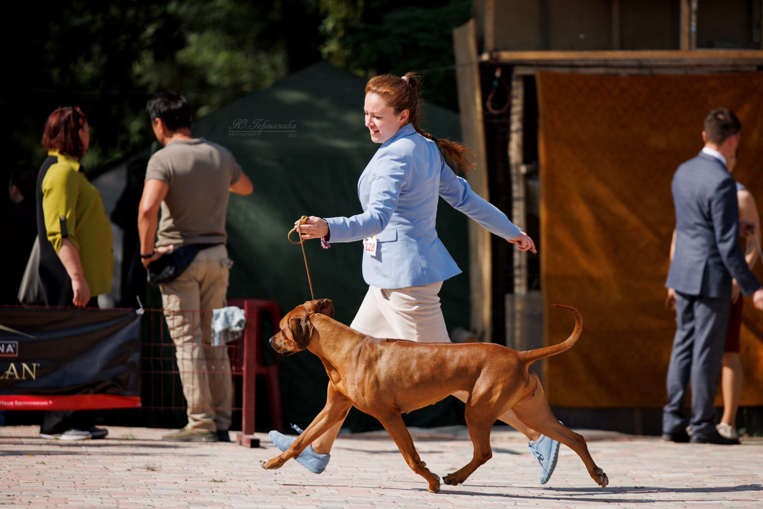 Ташкент 3хCACIB 3-5.10.2025. Фотограф-анималист Юлия Германика