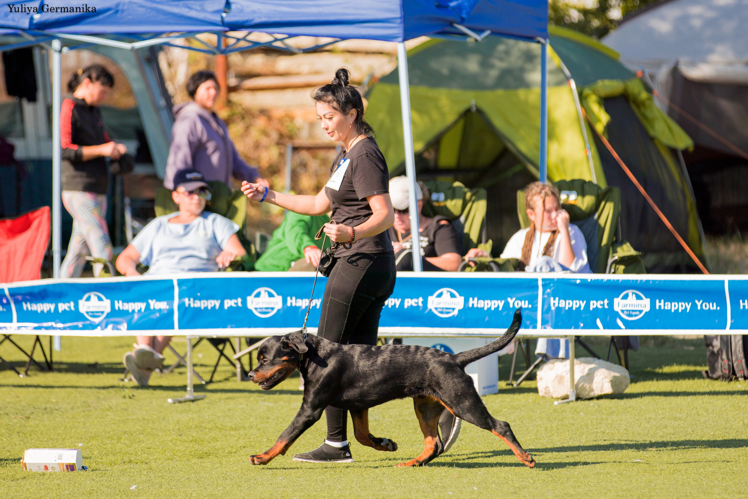 Анапа 16-17.09.2023 моно ротвейлеров. Фотограф-анималист Юлия Германика