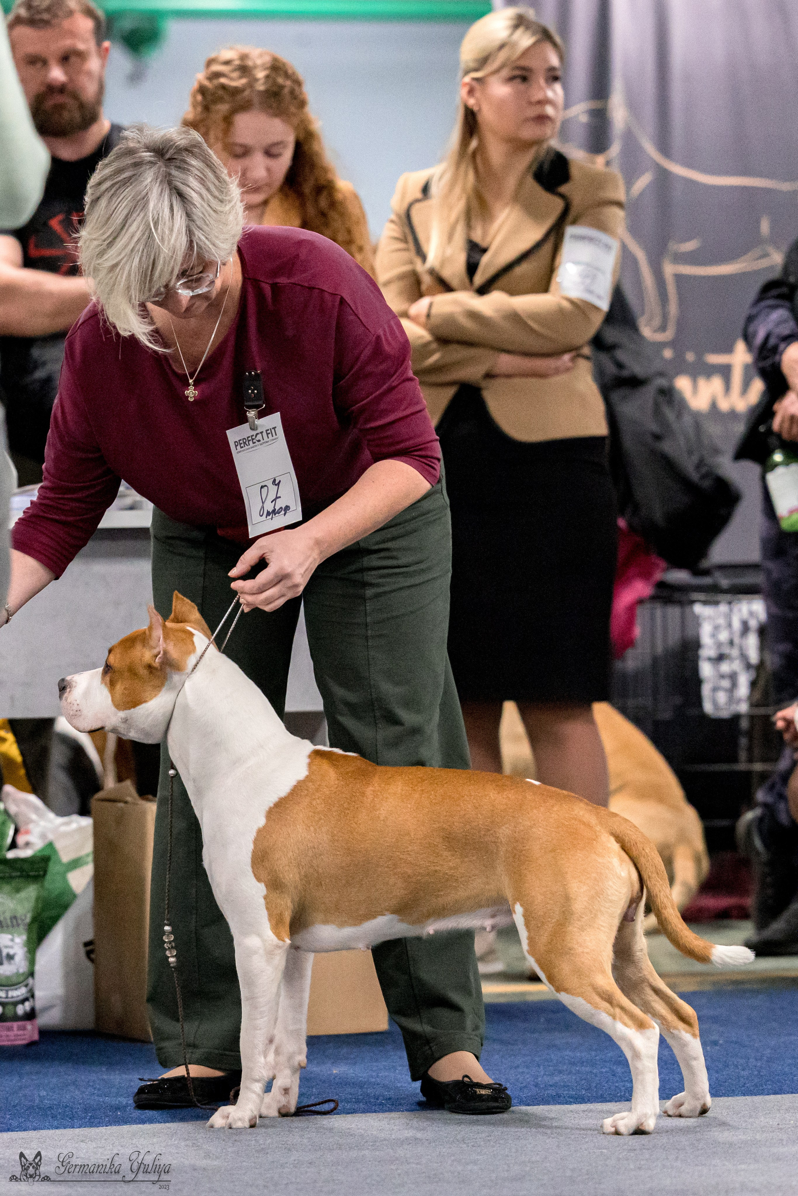 Сфера 29.10,Крокус 4.11,Сфера 12.11.2023. Фотограф-анималист Юлия Германика