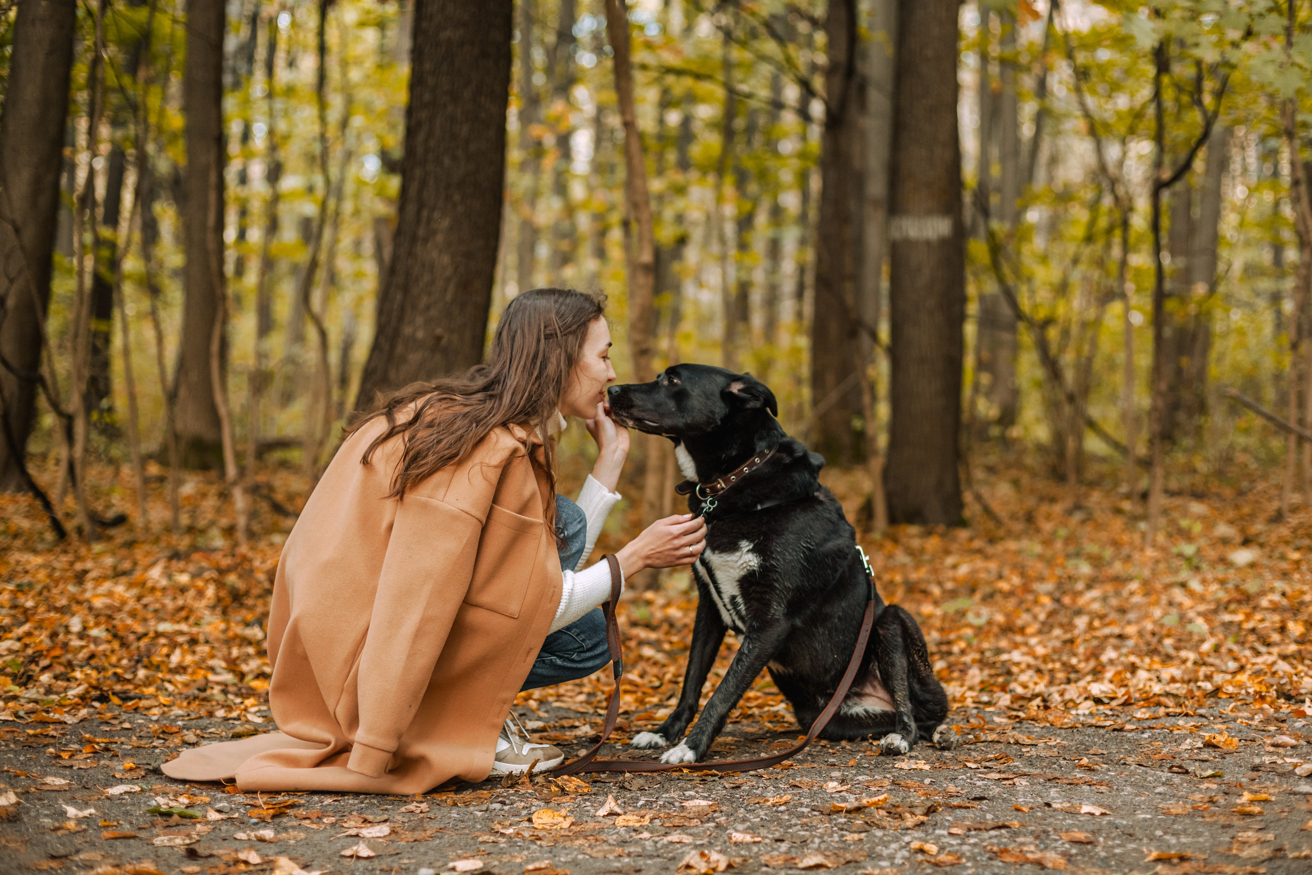 Юля и Фортуна. Фотограф-анималист Татьяна Степанова