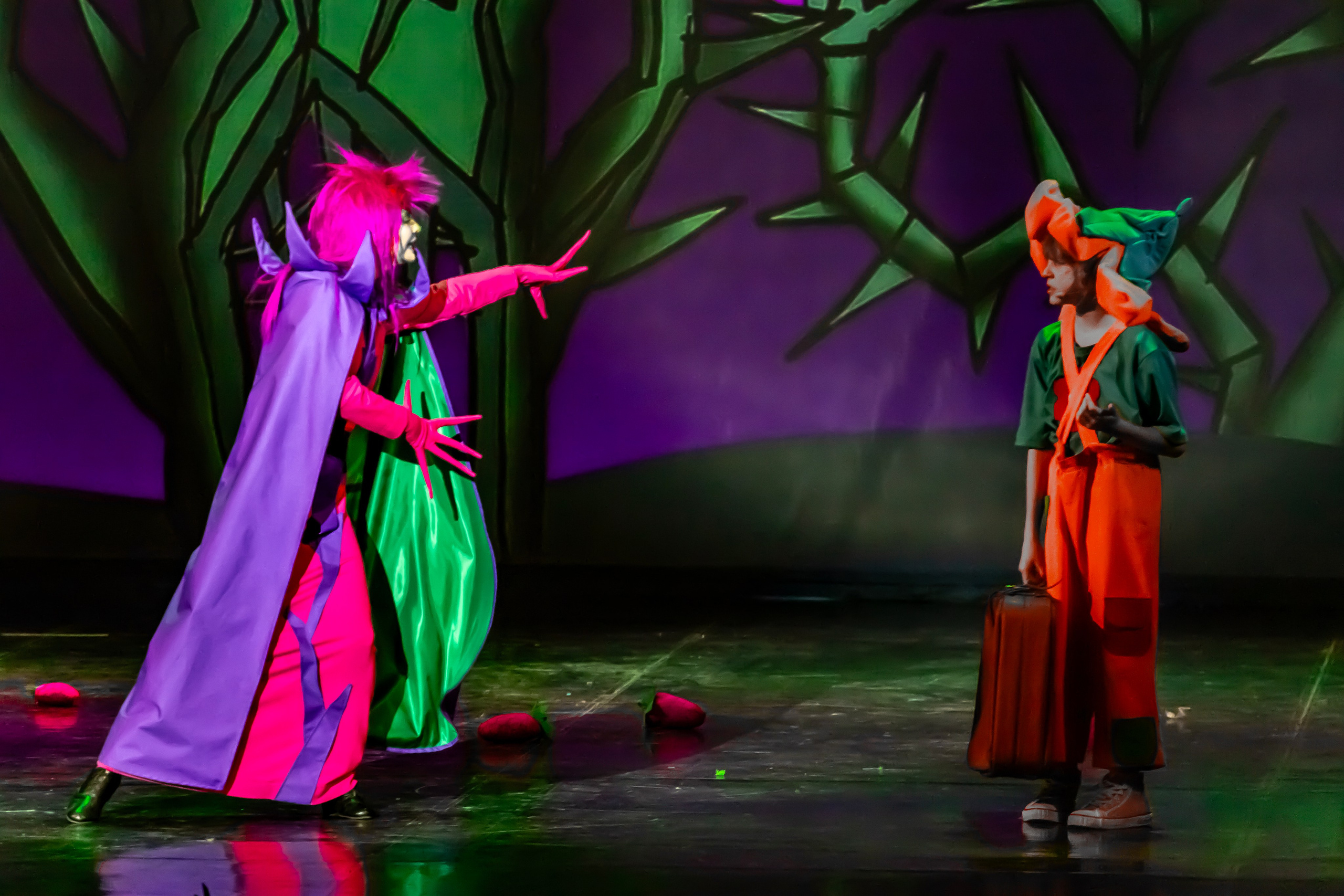 Мюзикл «Незнайка в царстве малюток» премьера Сочи солнышки и Сочи Соло. Фотограф в Сочи Юрий Шептаев