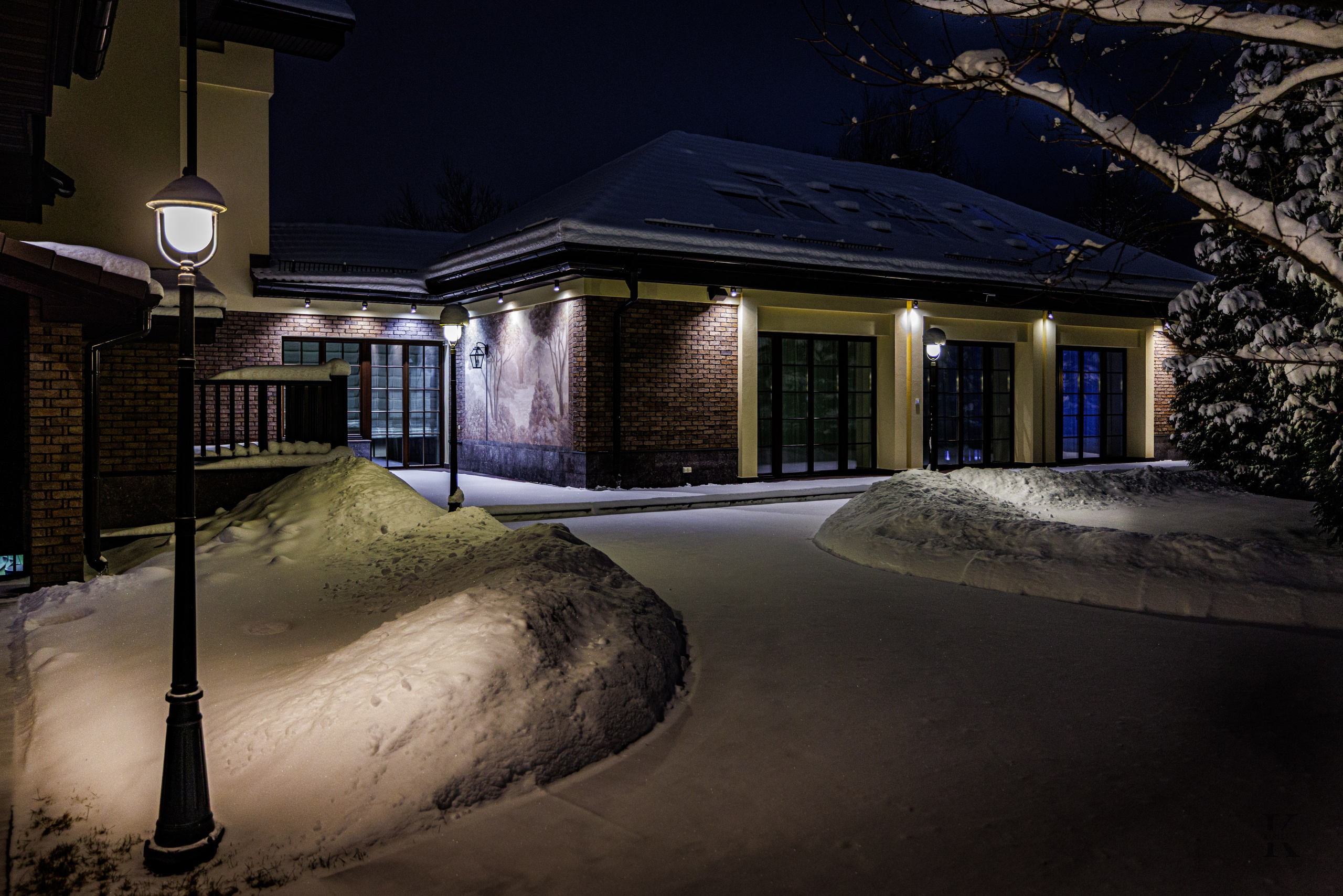 Природа 31 Декабря 2025 года. Клены. Фотографирую жизнь! Московский фотограф волонтер