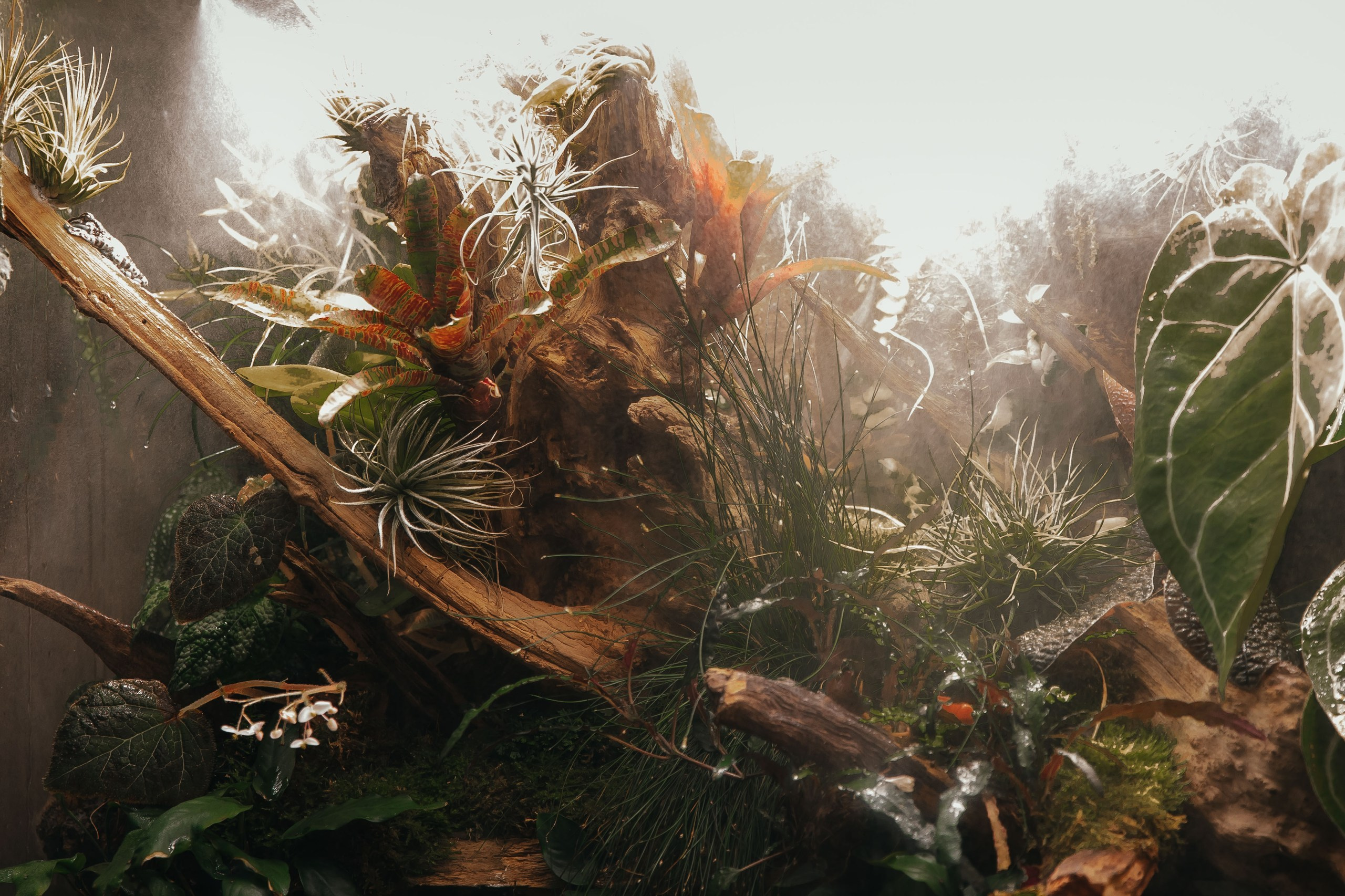 МК в GREENSTUDIO. Семейный и ивент фотограф в Москве Мария Маликова