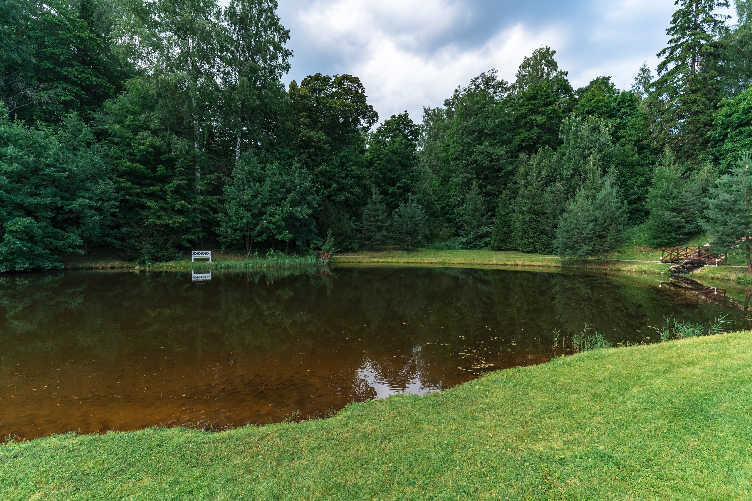 Александр + Диана