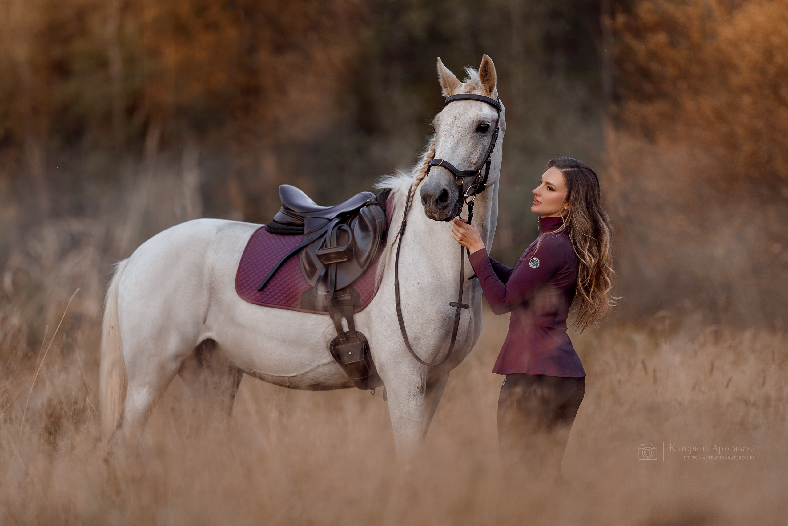 Фотосессии с лошадьми. Фотограф Артемьева Катерина|фотосессии с лошадьми