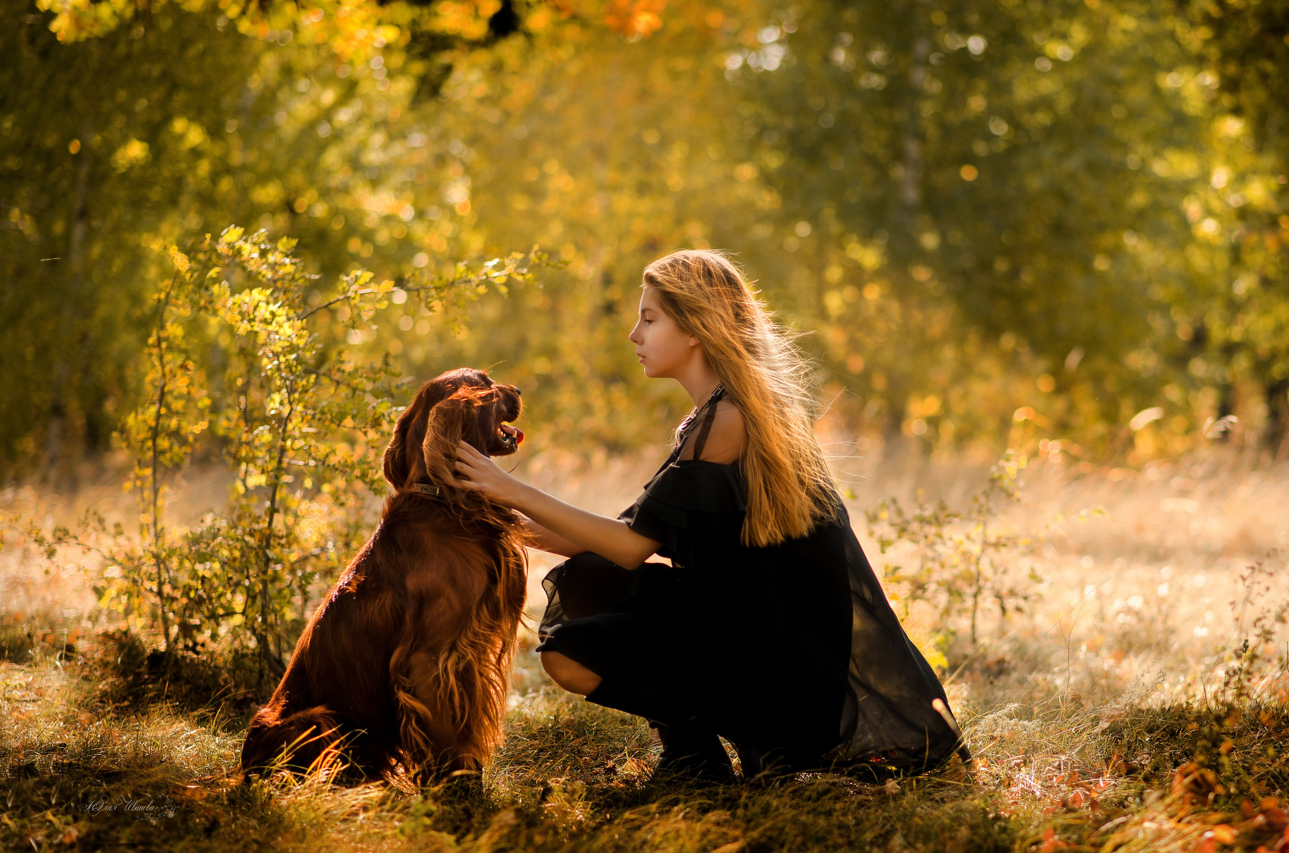 Разные фотосъемки. Конный фотограф в Саратове Юлия Иванова