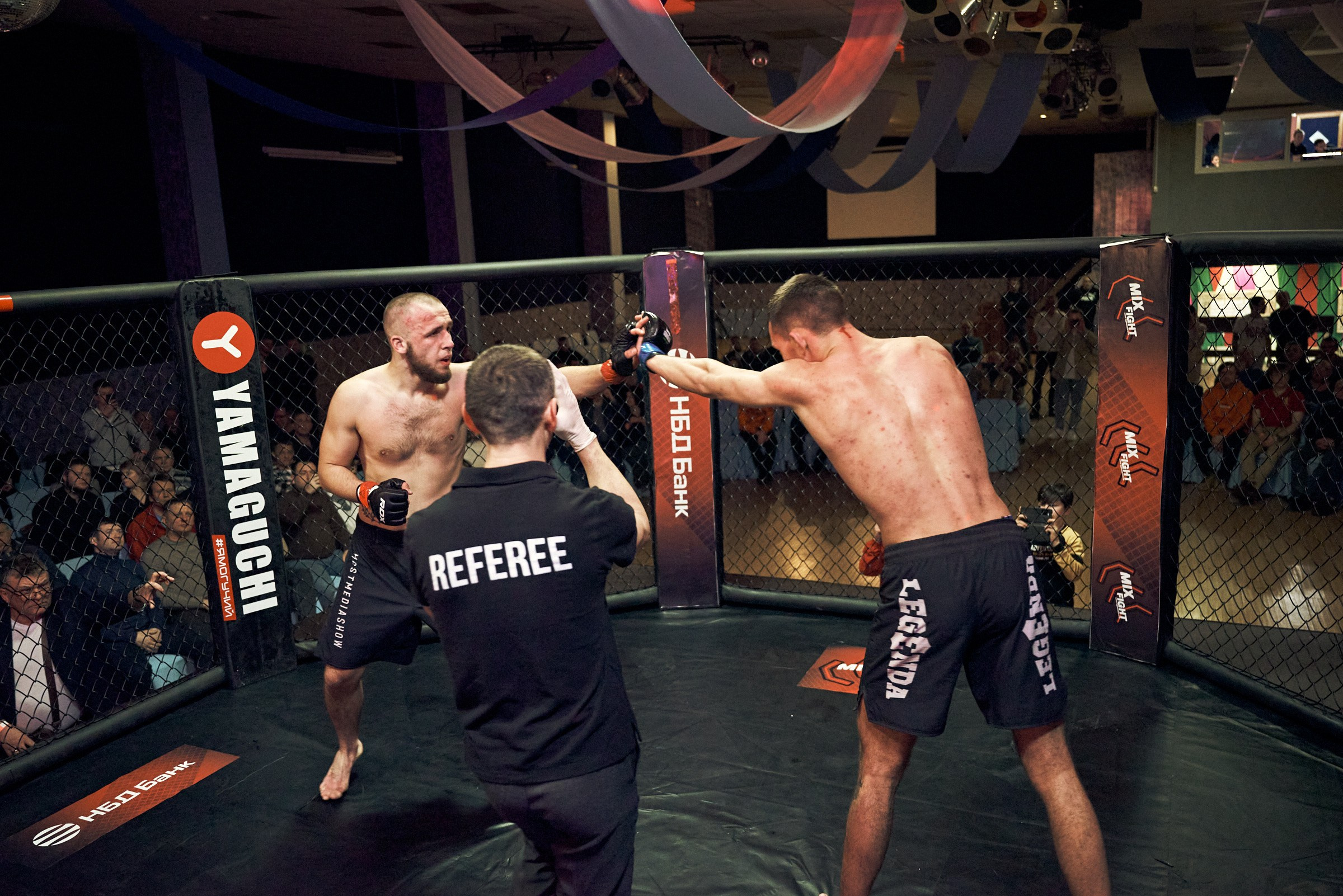 Бои. Маляревич Дмитрий свадебный фотограф