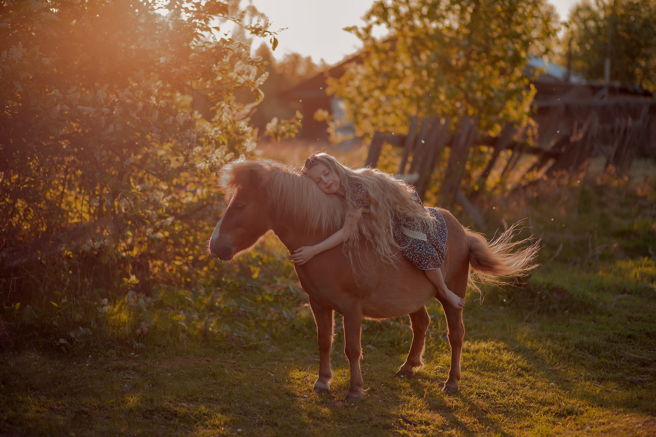 Фотосессии с животными. Натали Христолюбова