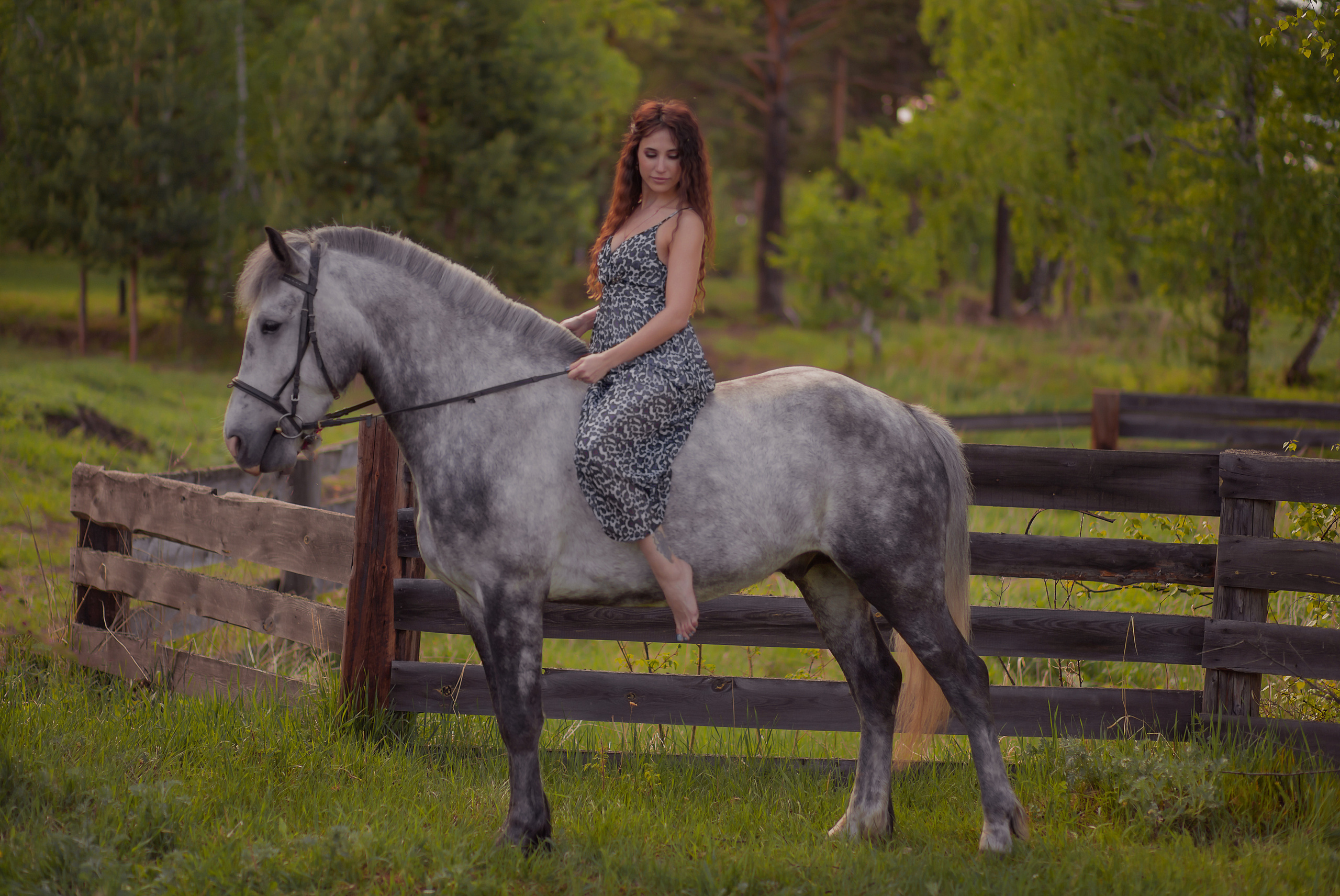 Фотосессии с животными. Натали Христолюбова