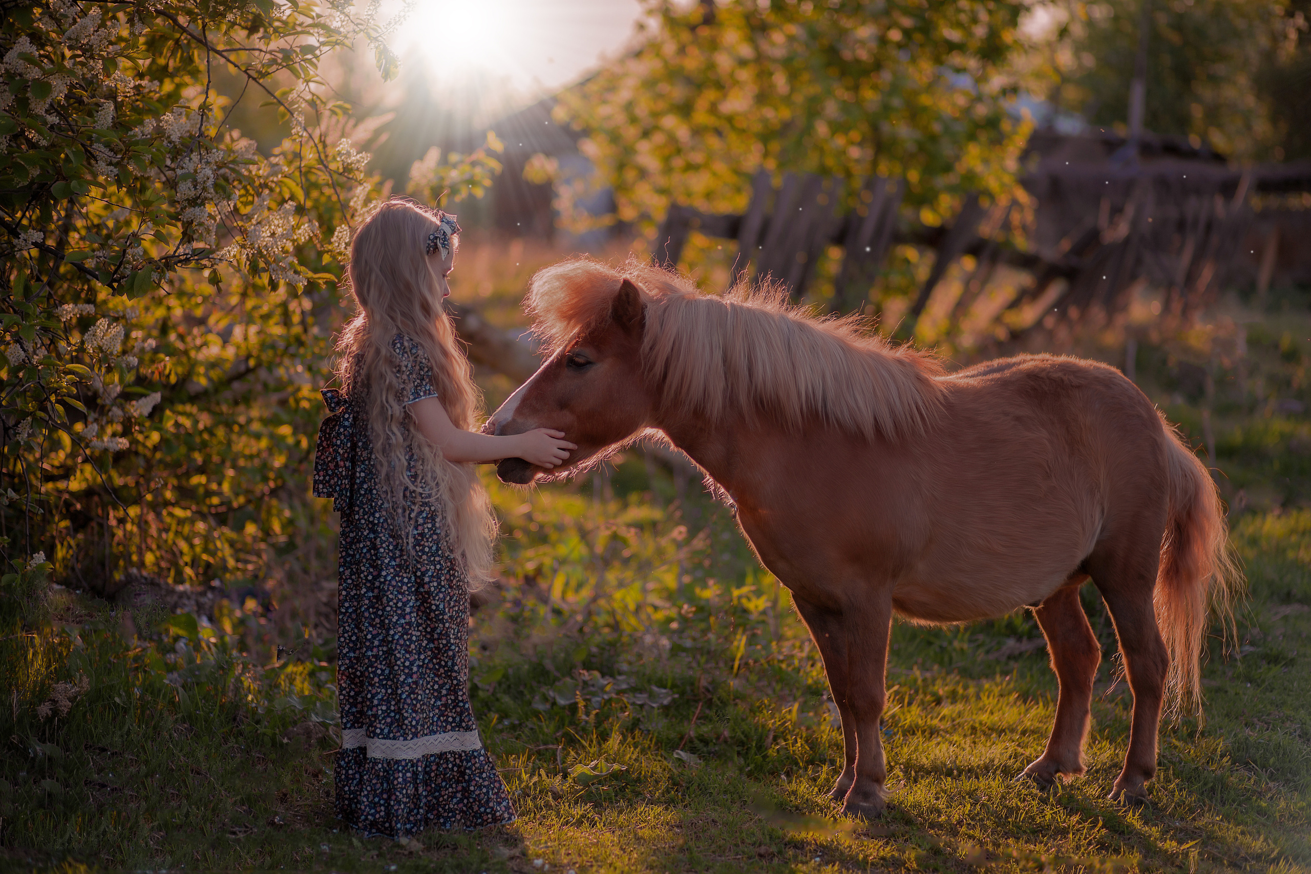 Фотосессии с животными. Натали Христолюбова