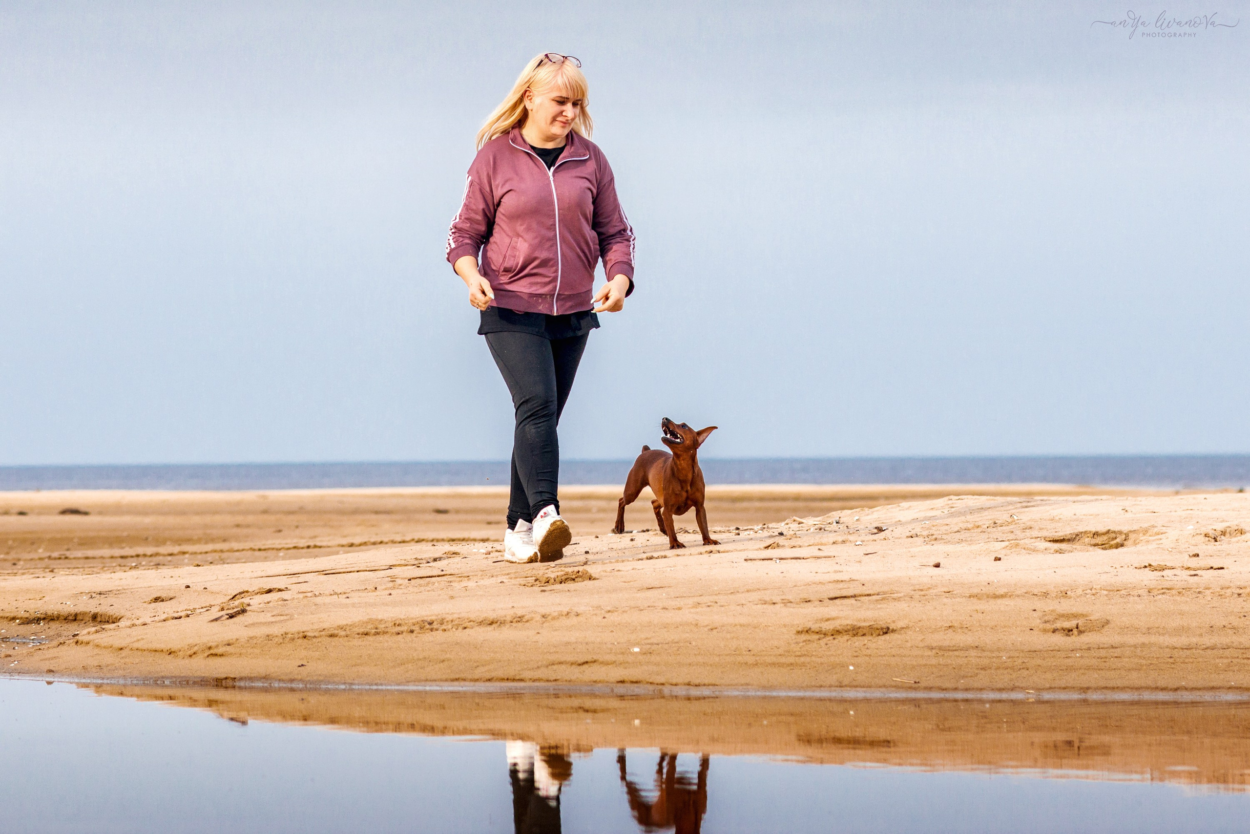 Киви на берегу. Фотограф анималист Аня Ливанова | Рыбинск