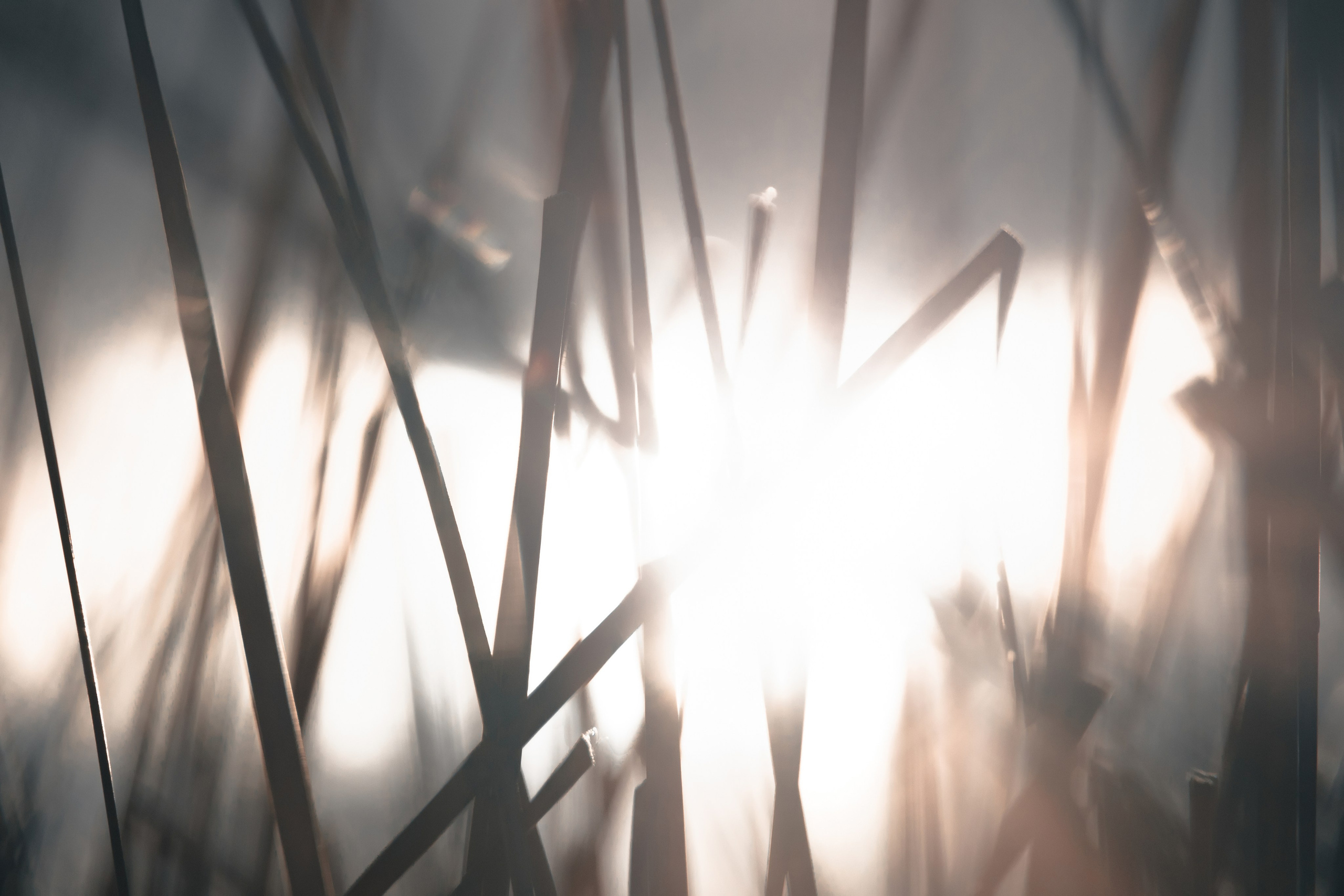 1-й Северный форт Кронштадт