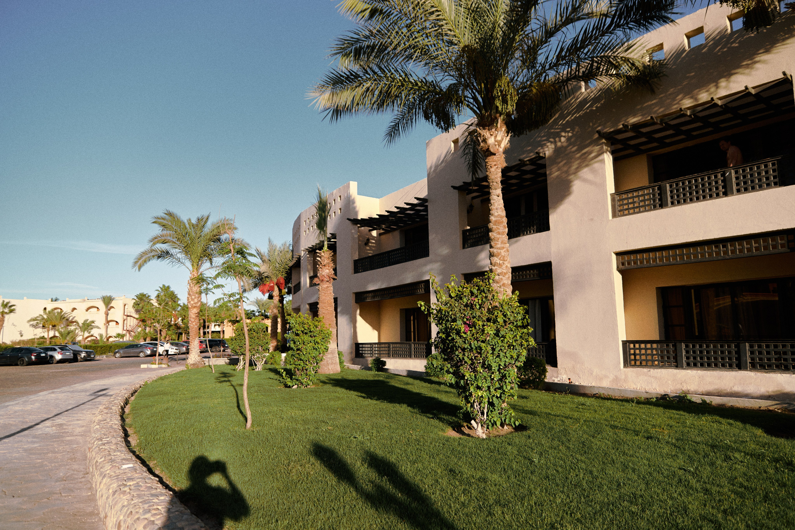 Улица горизонтальная. Jorgis — фотограф в Хургаде / обучение фотографии