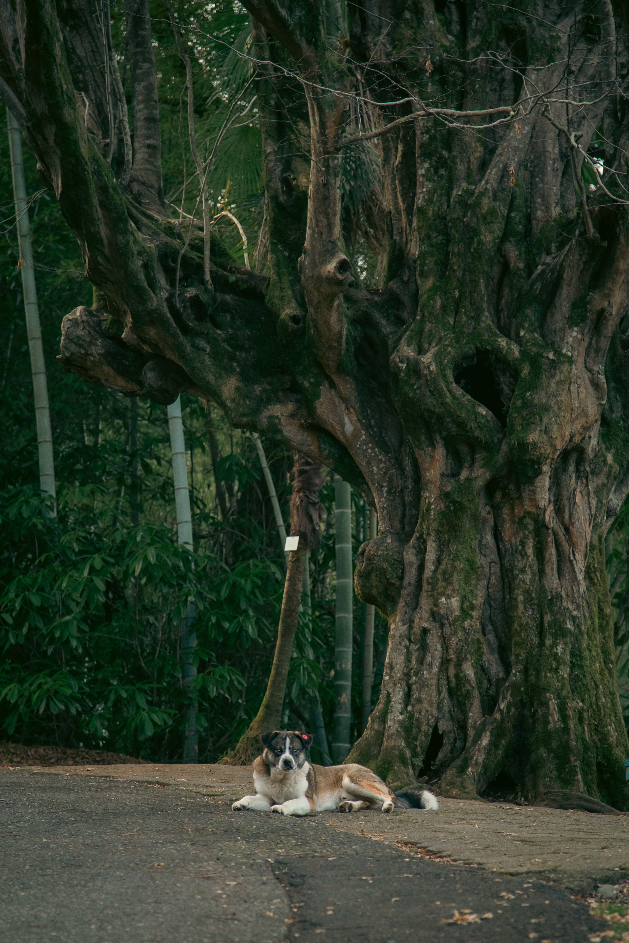 Batumi. Dmitriy [KCCC] is a pretty cool photographer