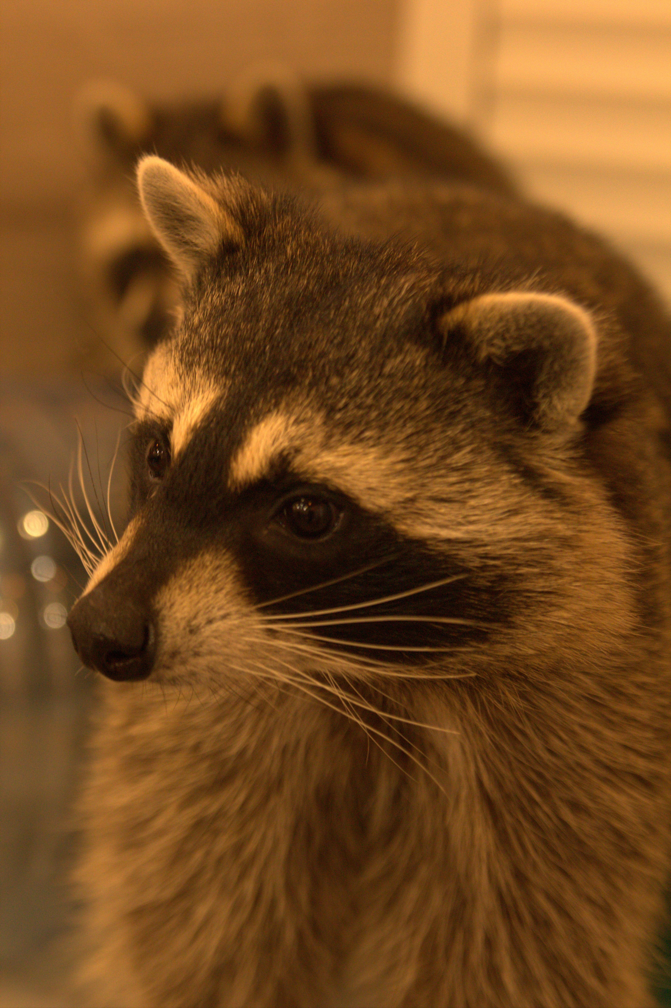 Портфолио. Фотограф в Москве Александра