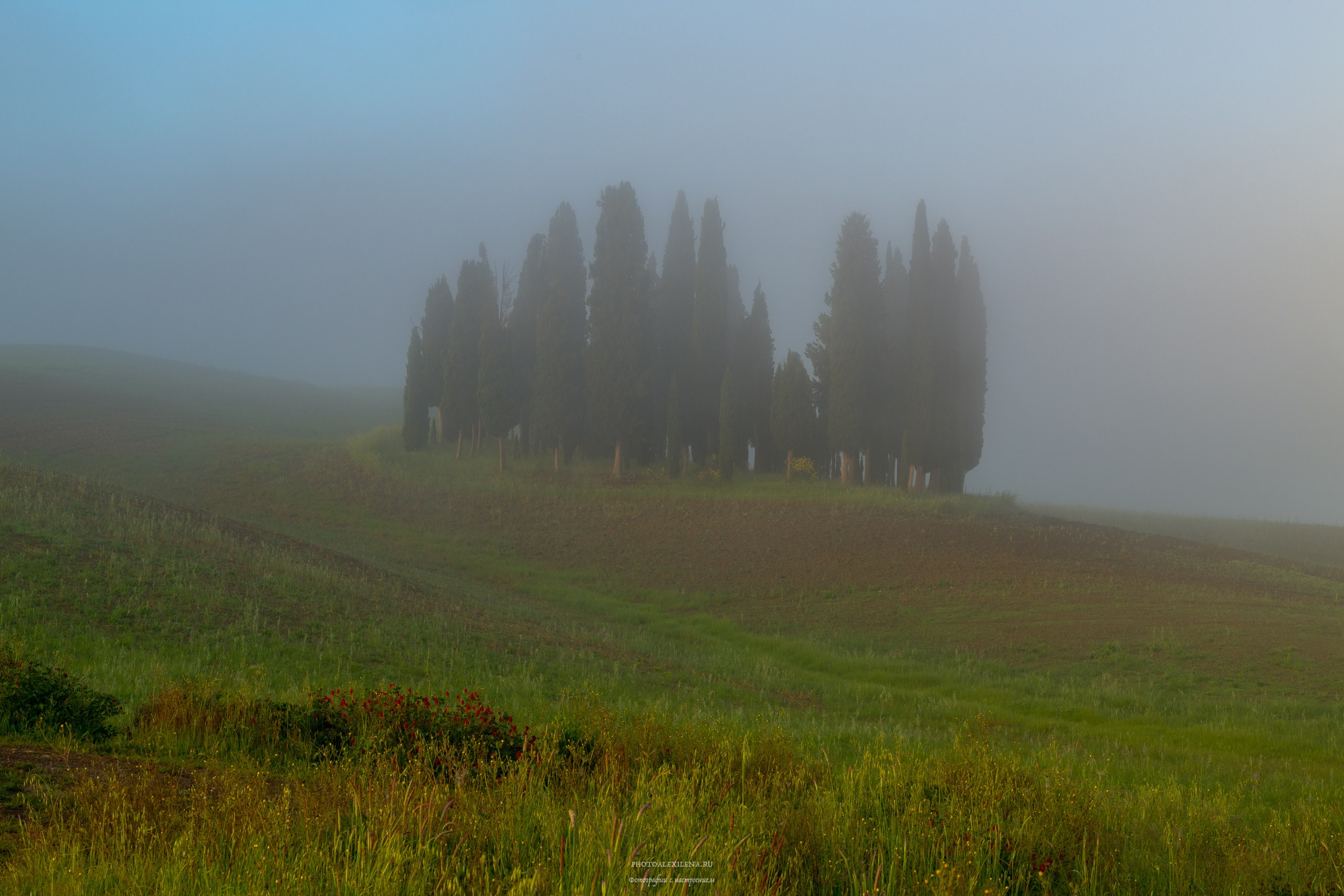 Великолепная Тоскана. Авторские стильные фотокартины