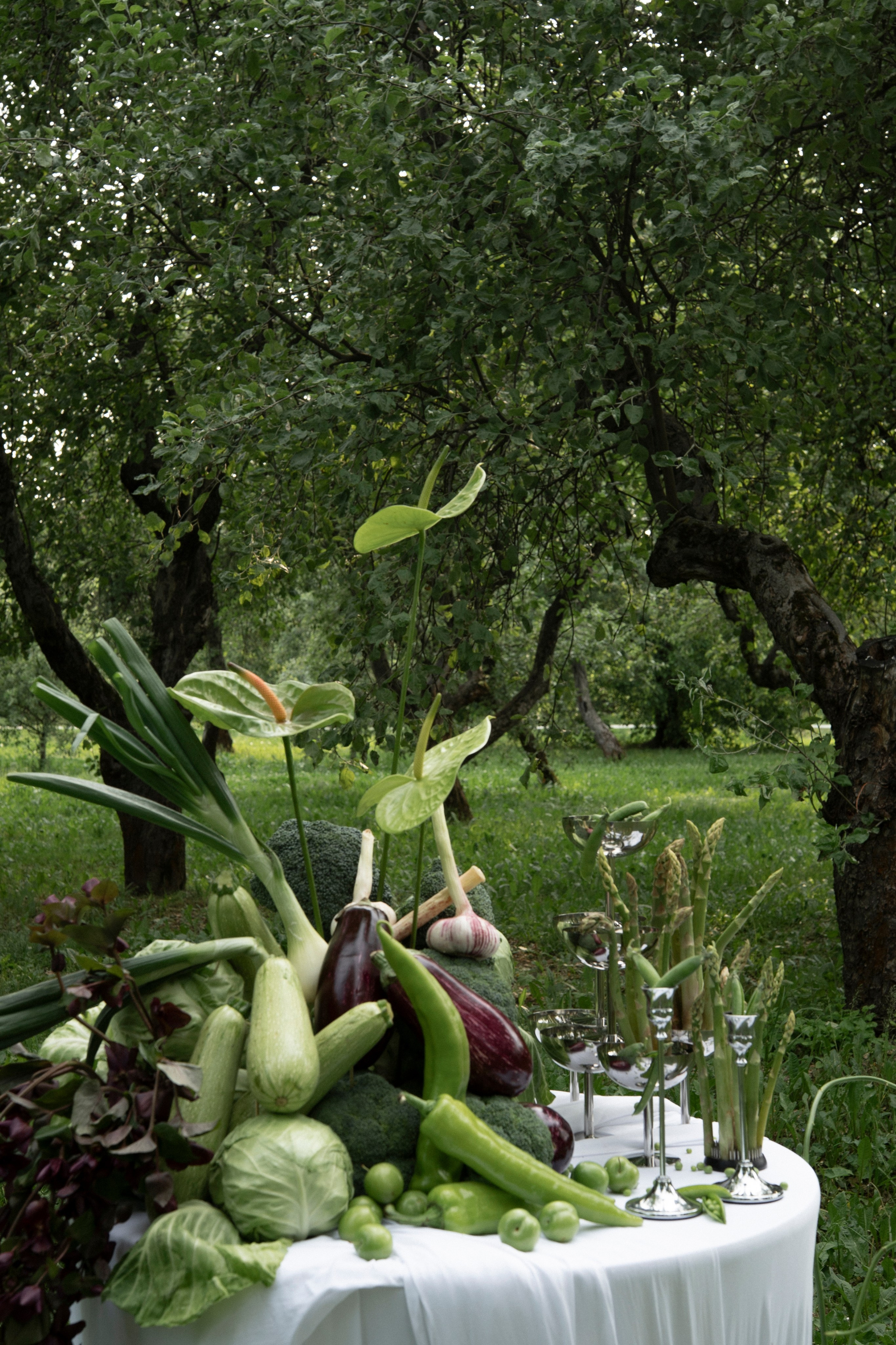 Ты выбираешь чудеса. Фотограф Евгения Мирошниченко