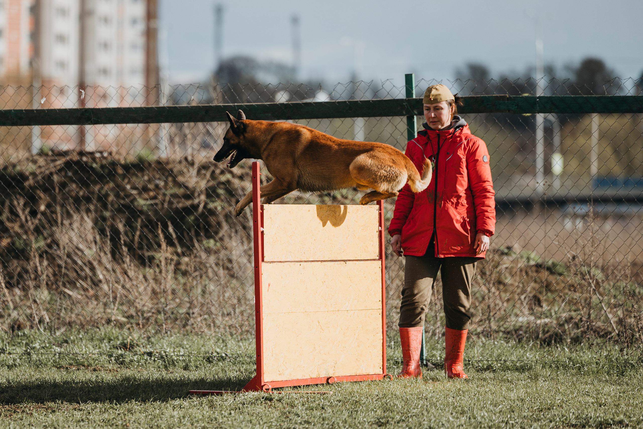 09.05.25 Вологда соревнования. Фотограф-анималист Анна Маринич
