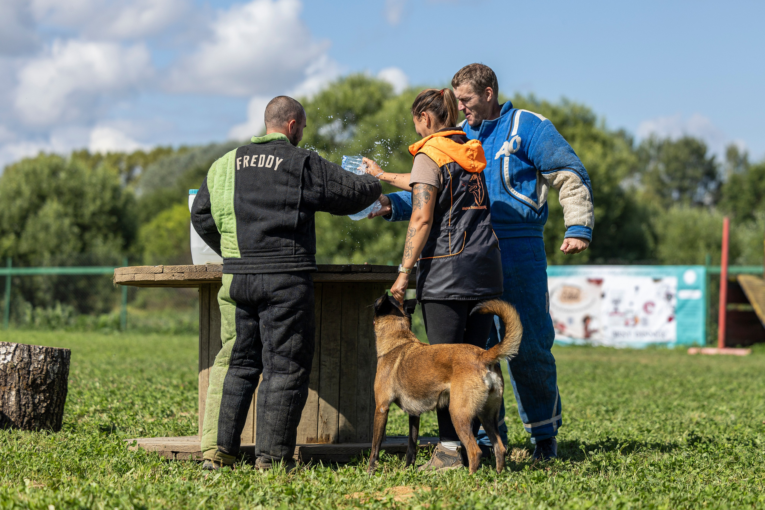 Соревнования по Мондьорингу г. Вологда 10-11.08.2024. Фотограф-анималист Анна Маринич