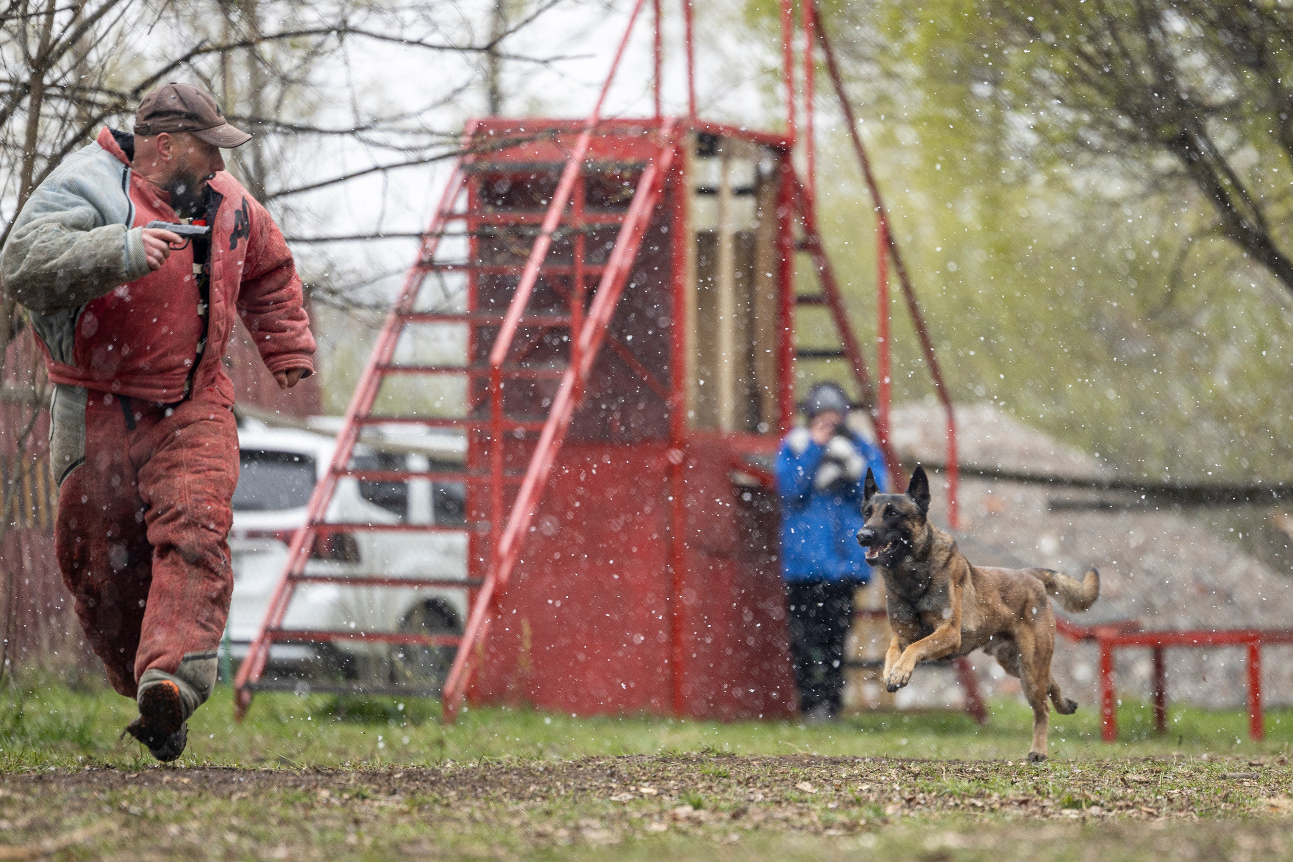 Квалификационные состязания по мондьорингу г. Вологда 11.05.24. Фотограф-анималист Анна Маринич