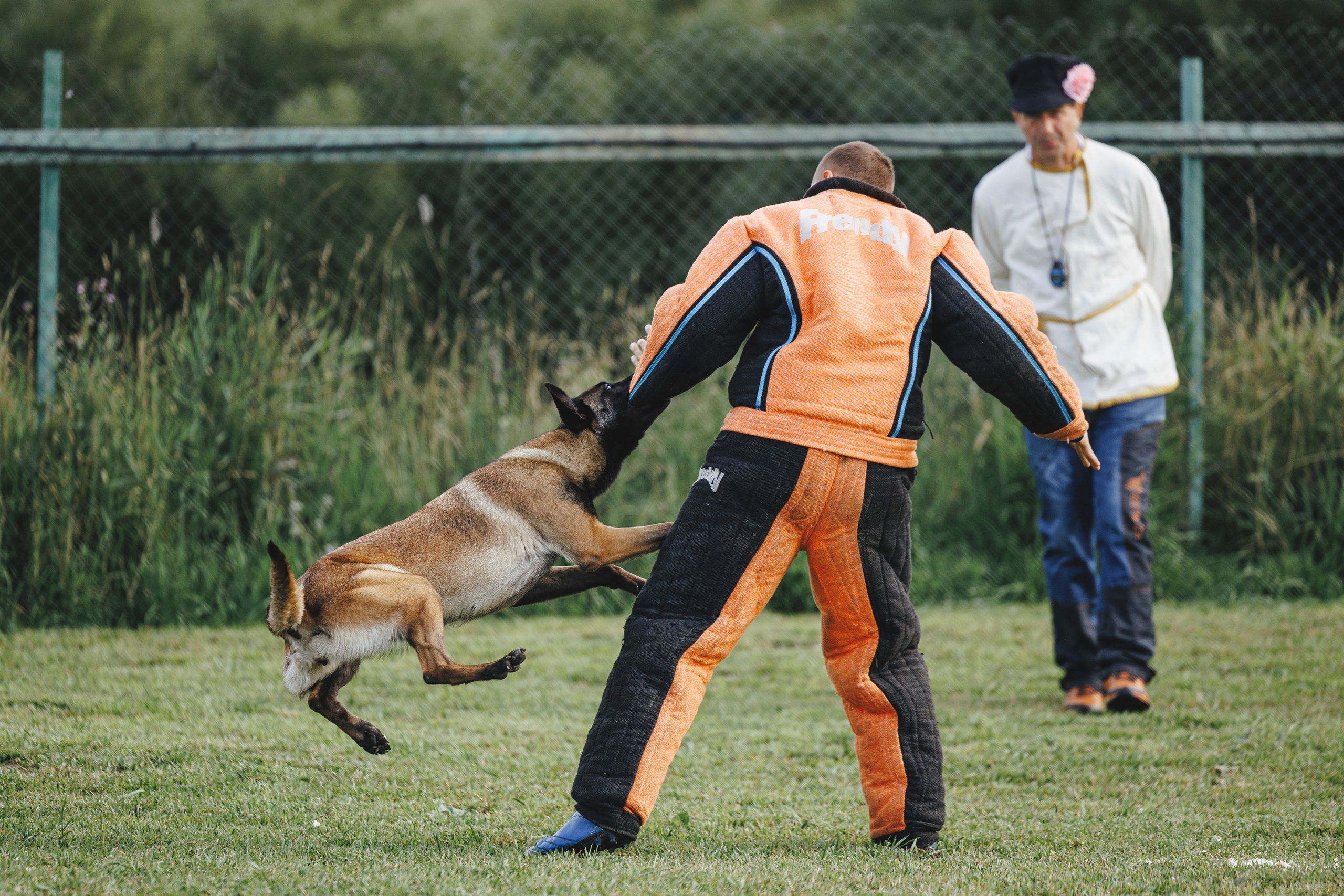 08.08.25-10.08.25 ЧР по мондьорингу г. Вологда. Фотограф-анималист Анна Маринич