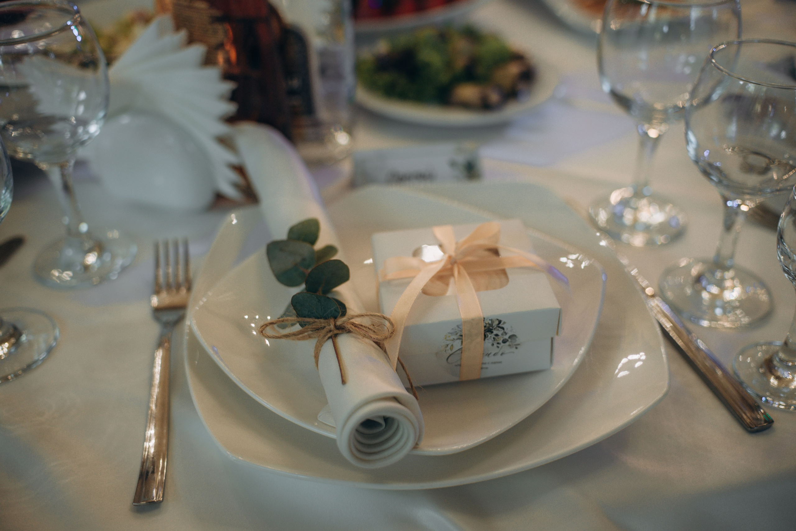 II. ЛИНА ЛАЗАРЕВА, Фотограф в Москве, МО и на юге России