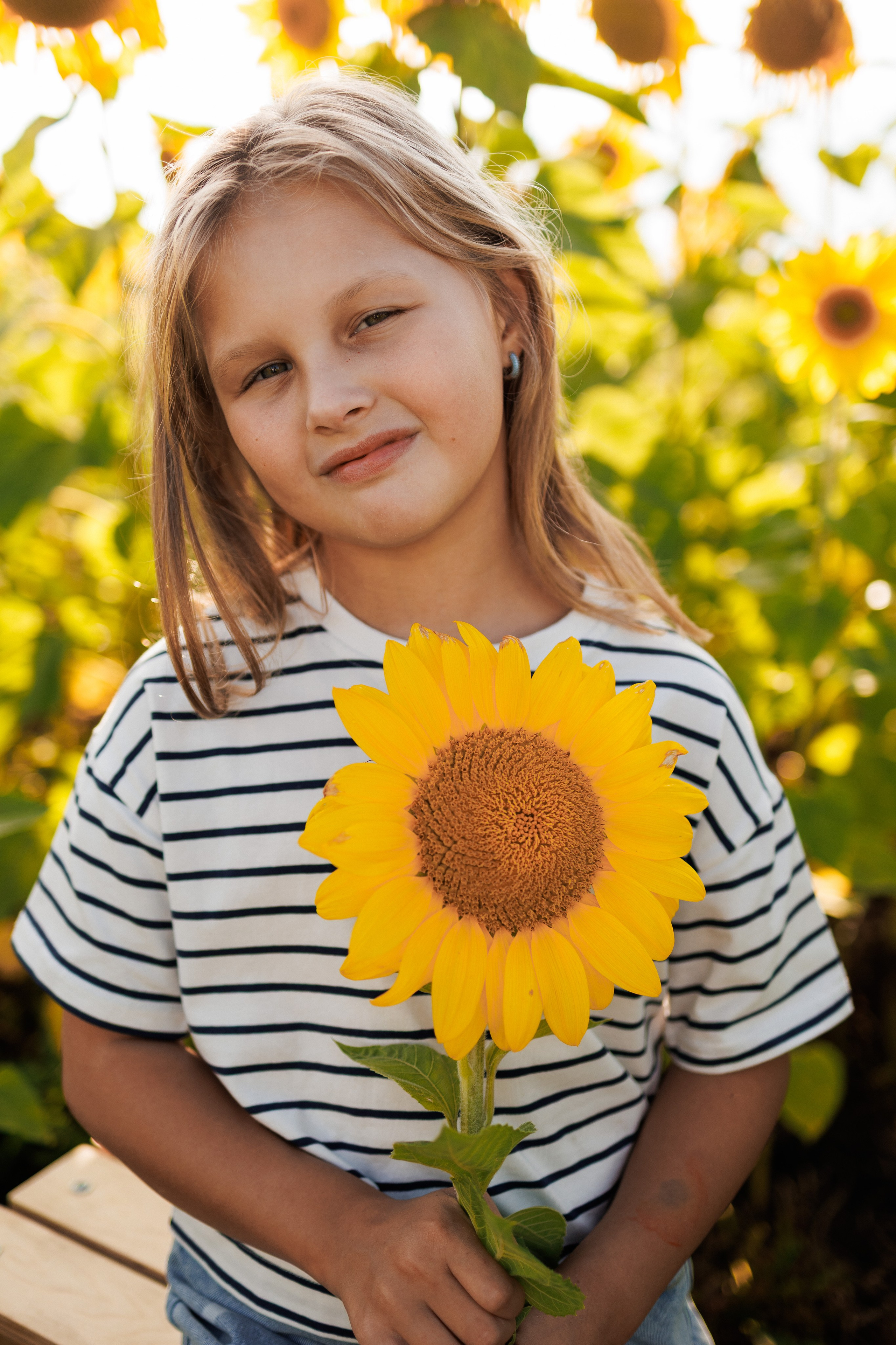 В поле подсолнухов. Семейный фотограф г. Тюмень