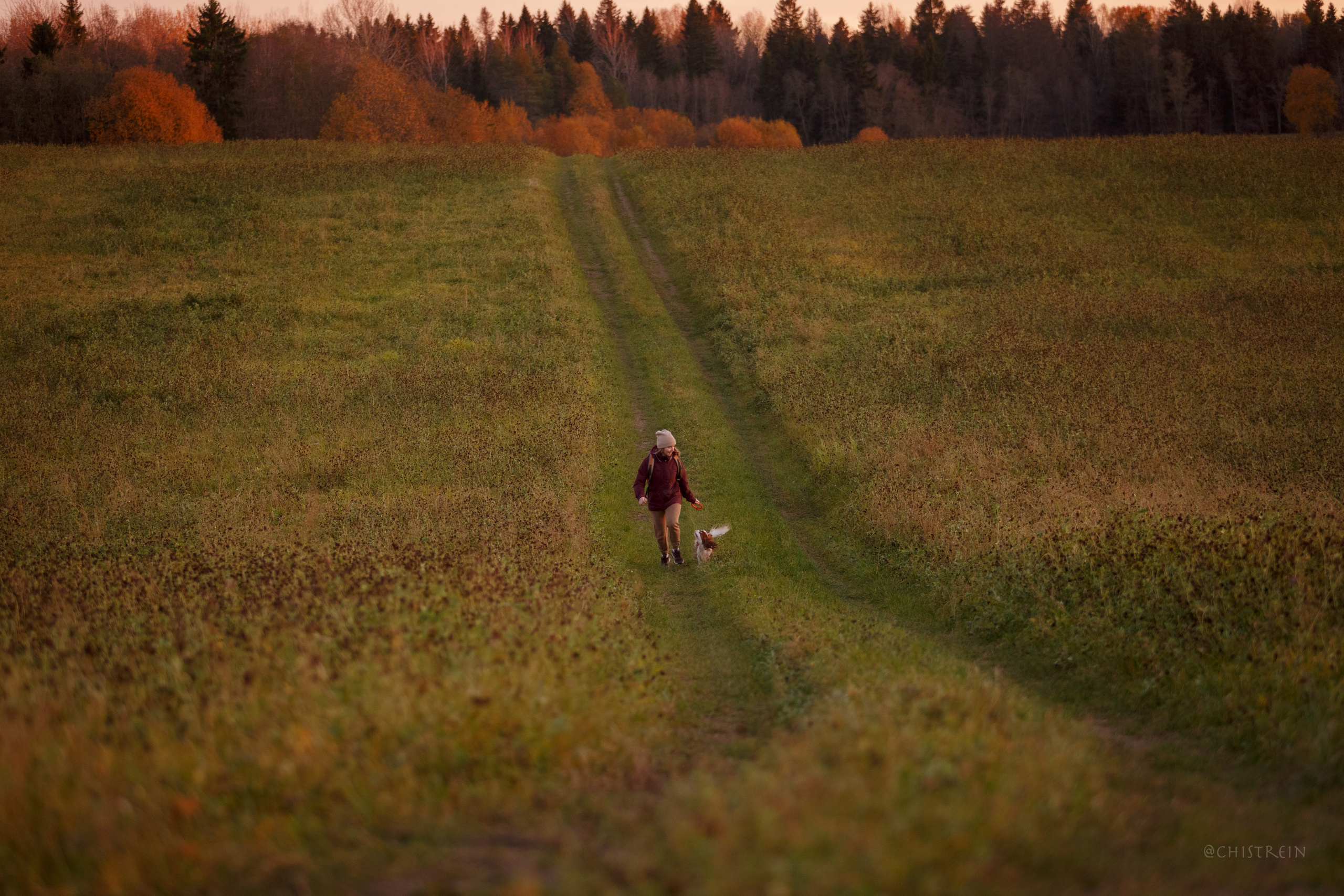 Октябрьский закат в полях. Алина и Лео. Фотограф-анималист Наталия Чистюхина в г. Сосновый Бор и ЛО
